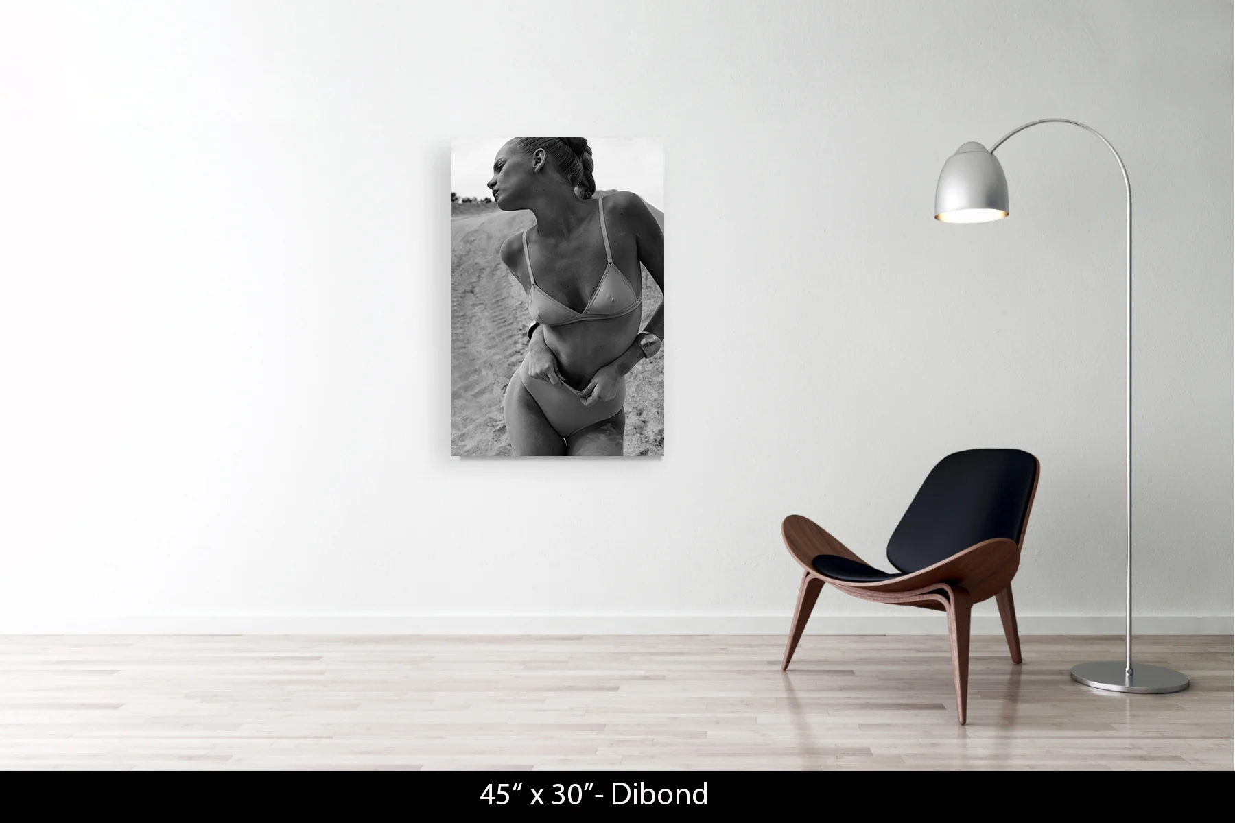 45"x30" | Dibond