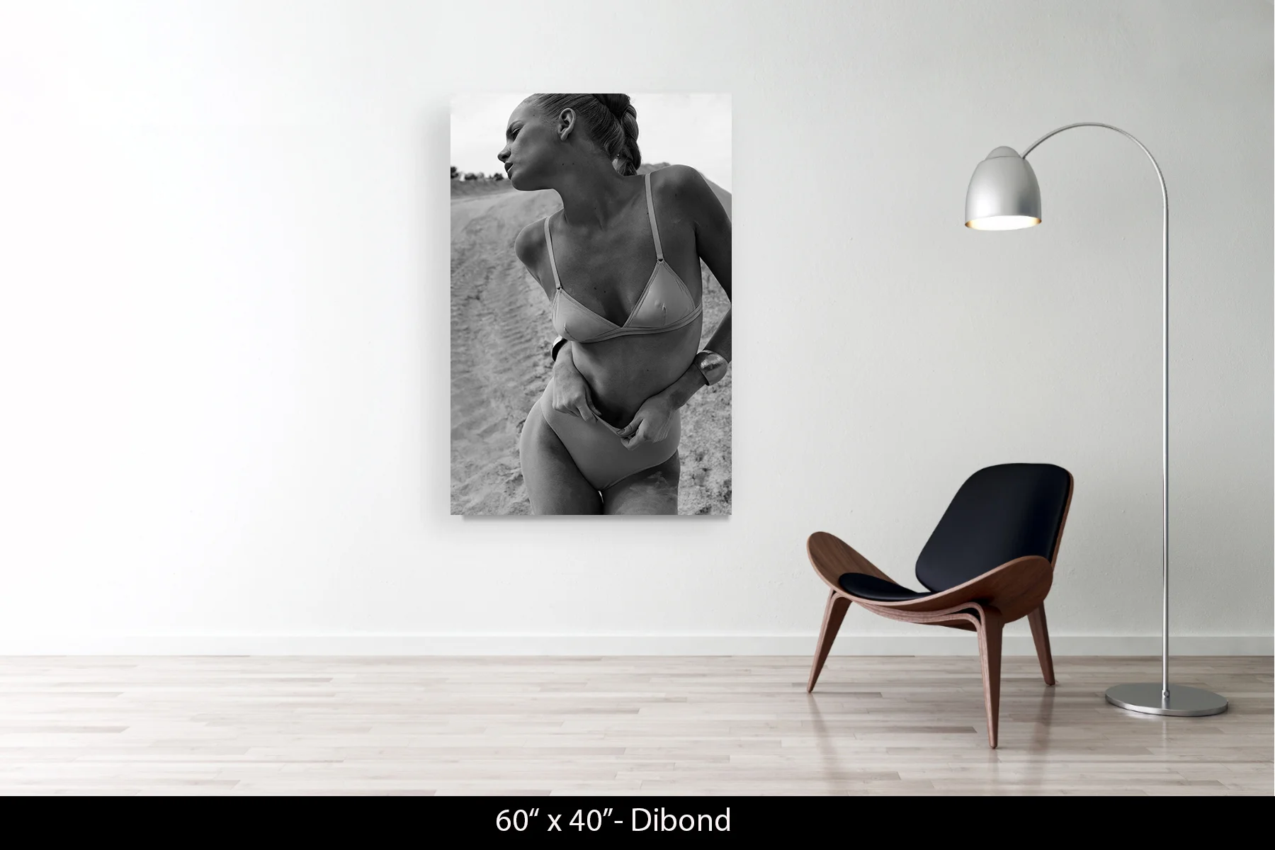 60"x40" | Dibond