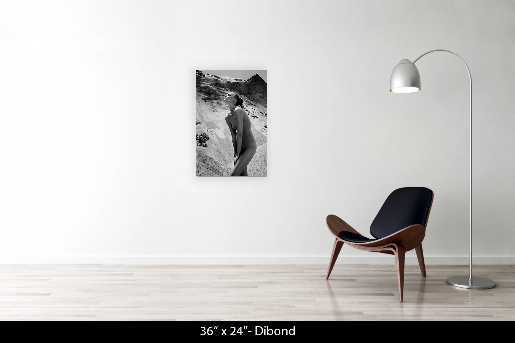 36"x24" | Dibond