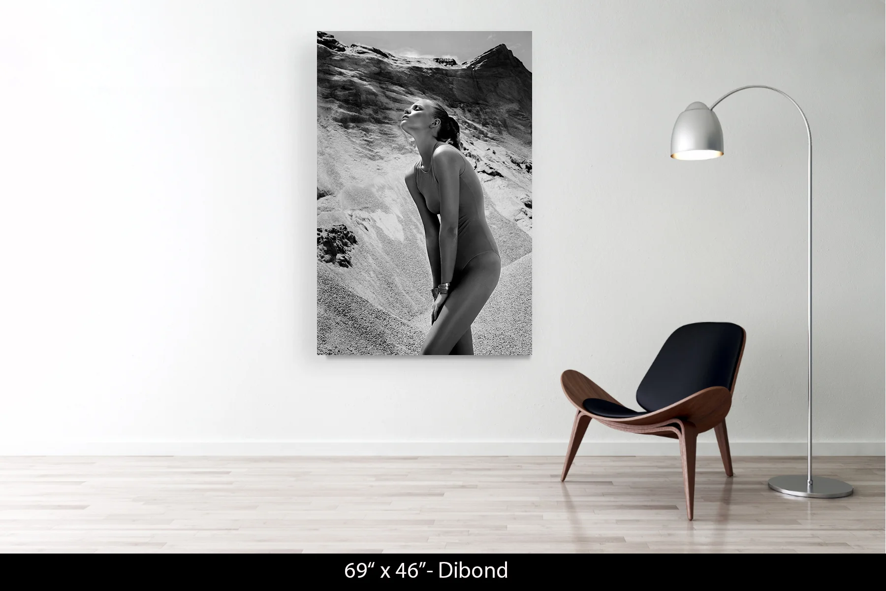 69"x46" | Dibond