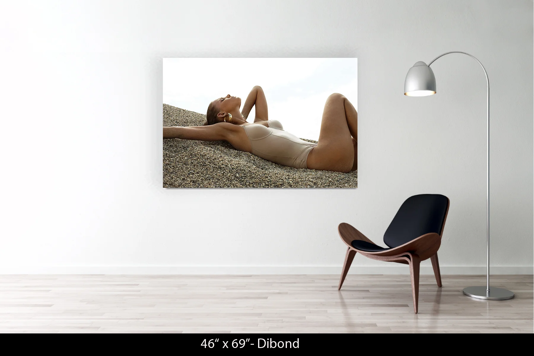 46"x69" | Dibond