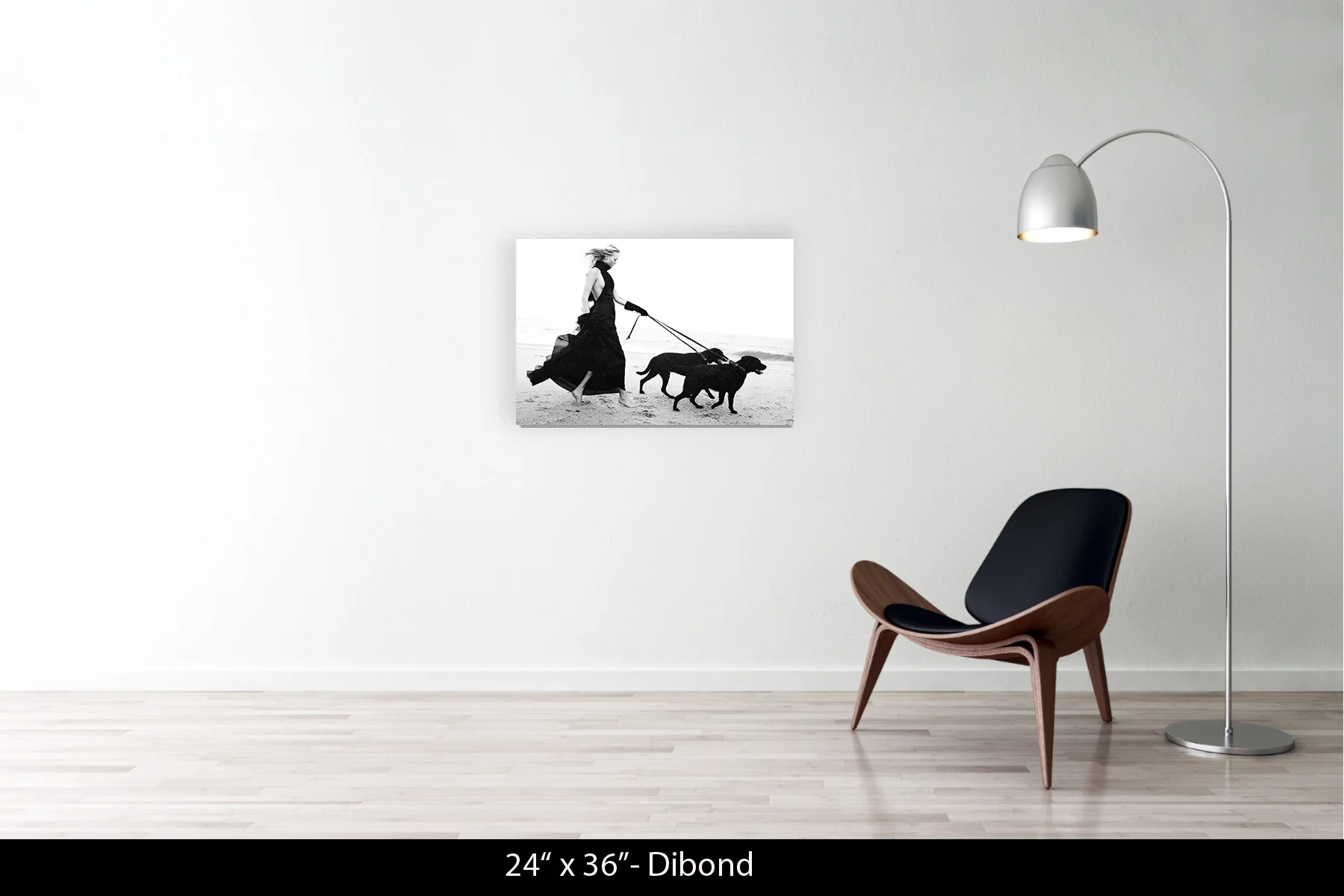 24"x36" | Dibond