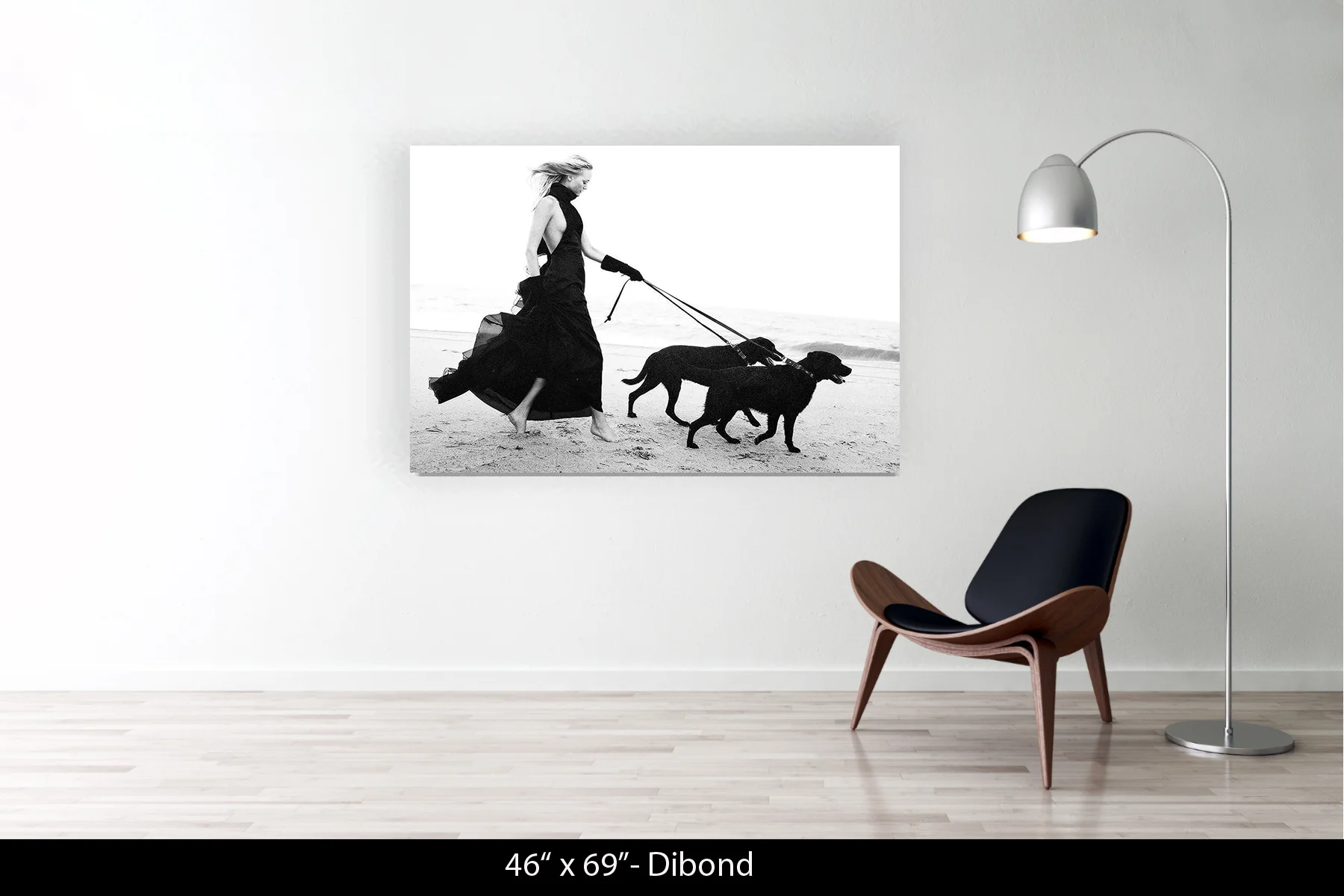46"x69" | Dibond