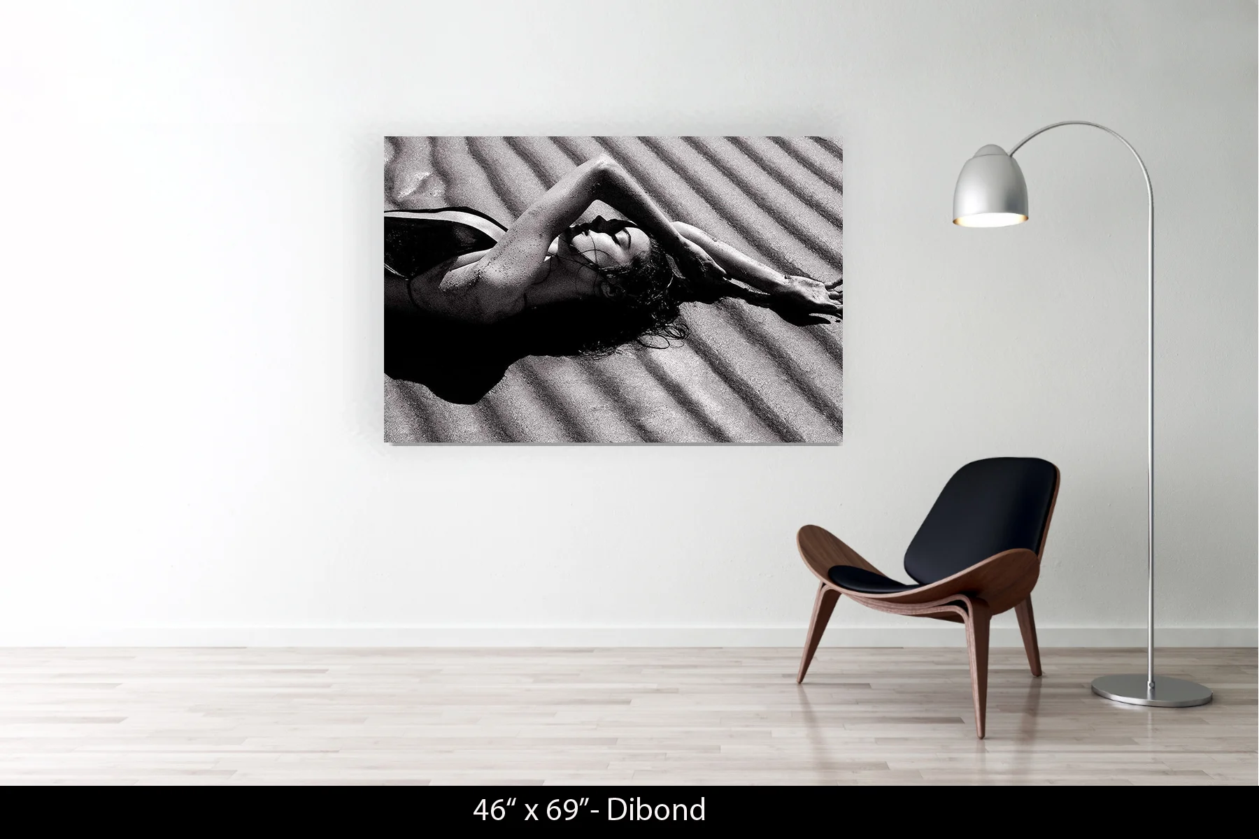 46"x69" | Dibond