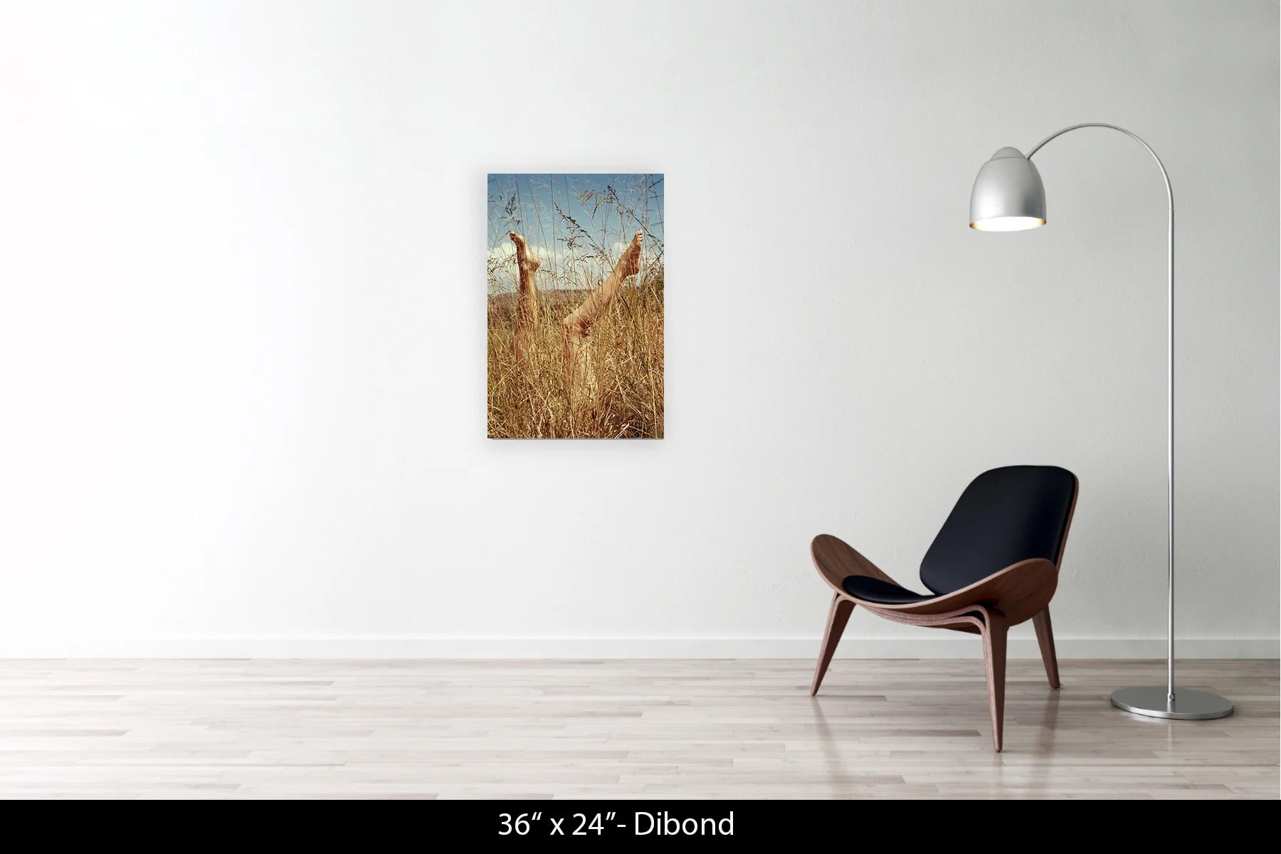 36"x24" | Dibond