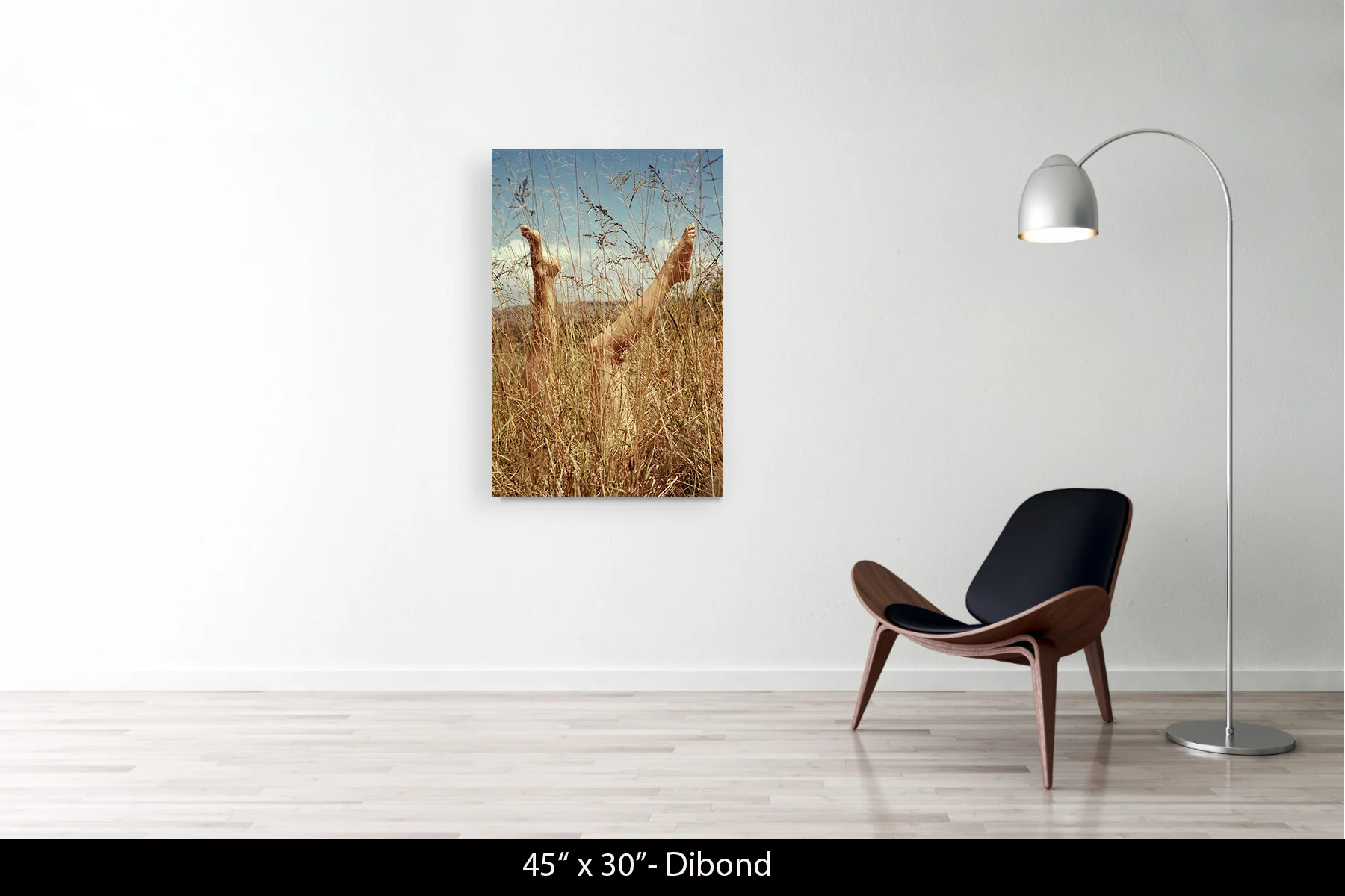 45"x30" | Dibond