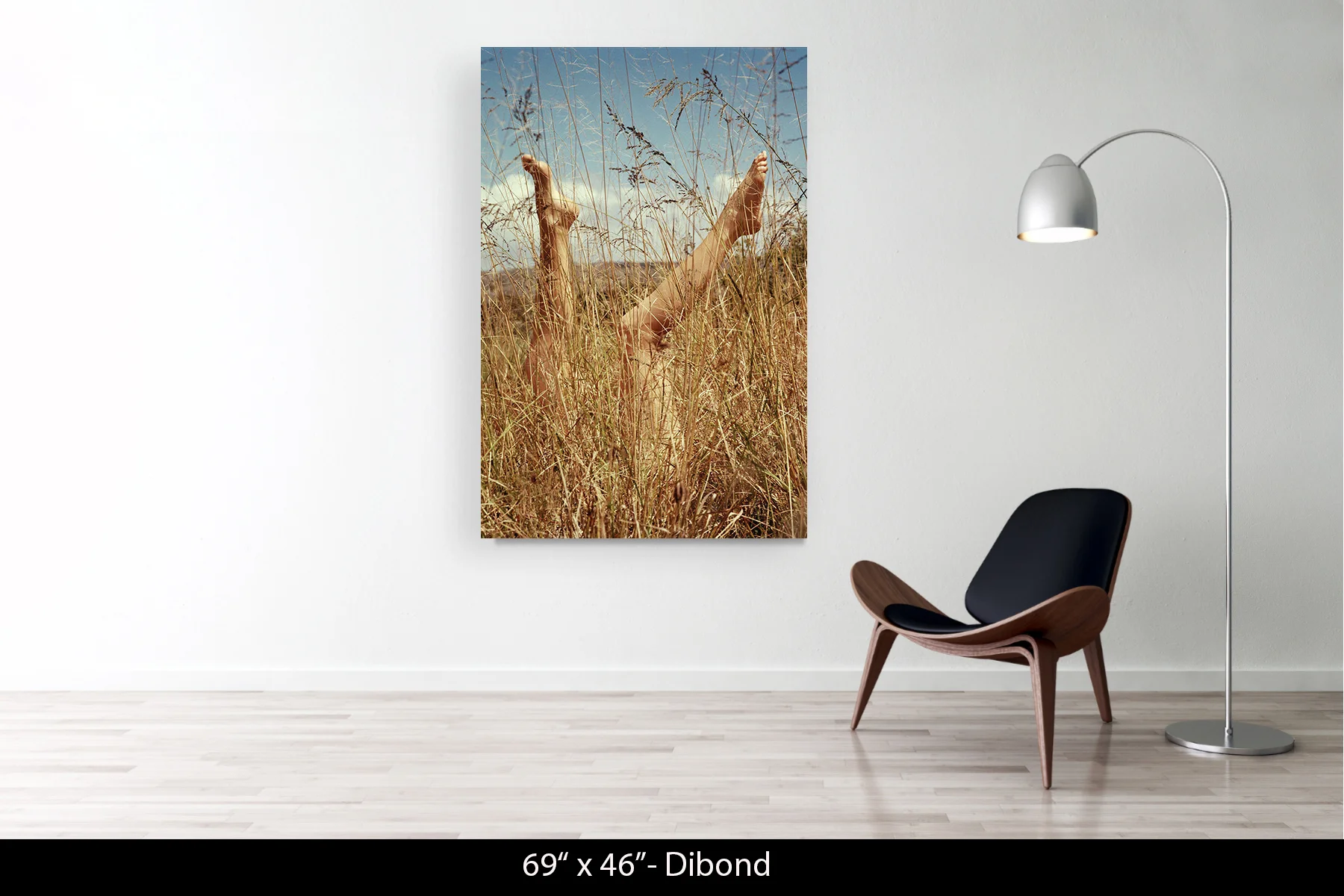 69"x46" | Dibond