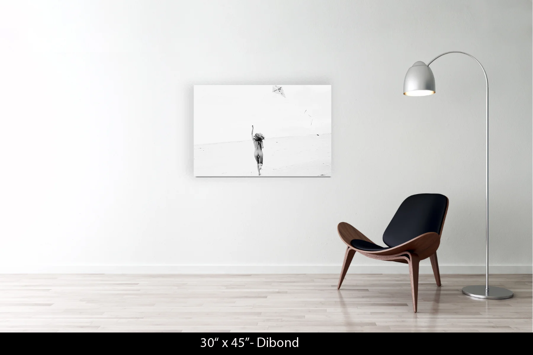 30"x45" | Dibond