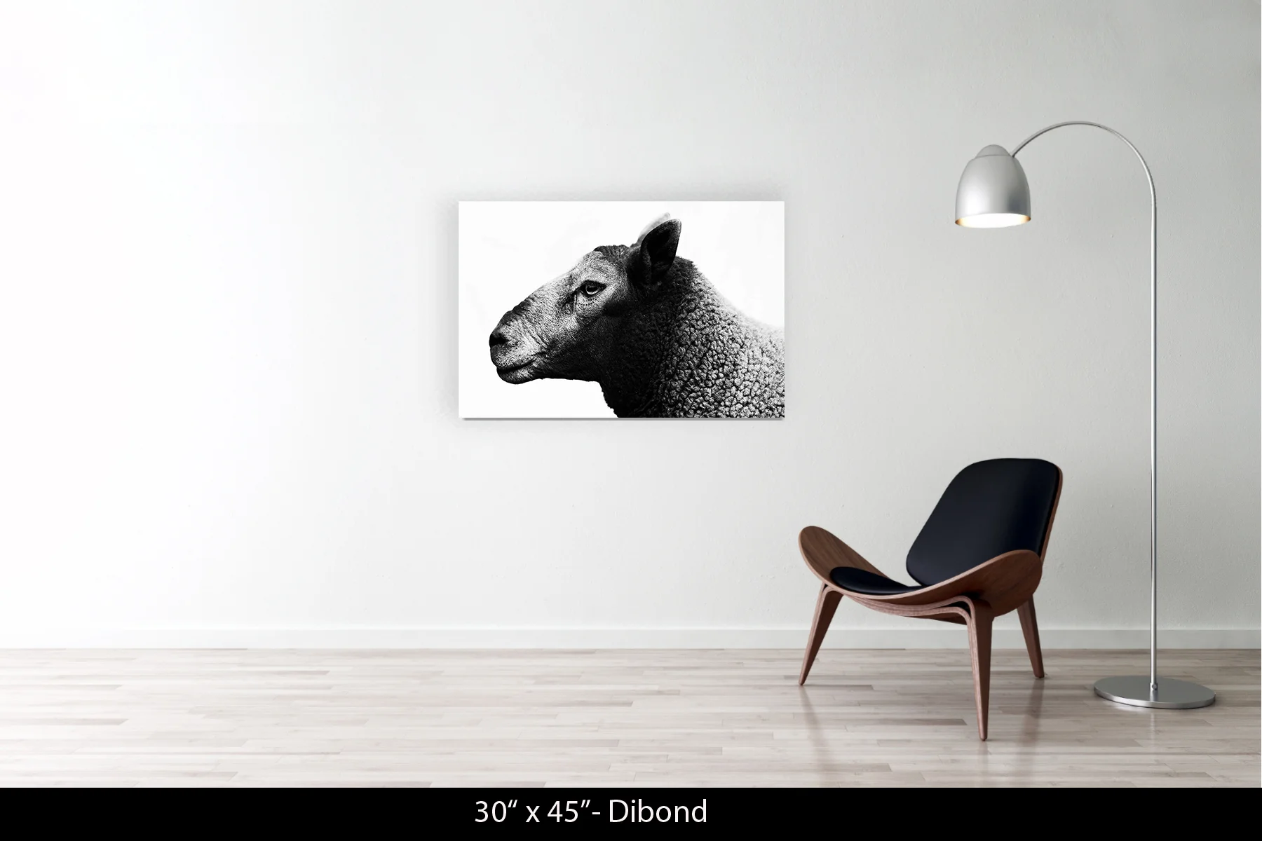 30"x45" | Dibond