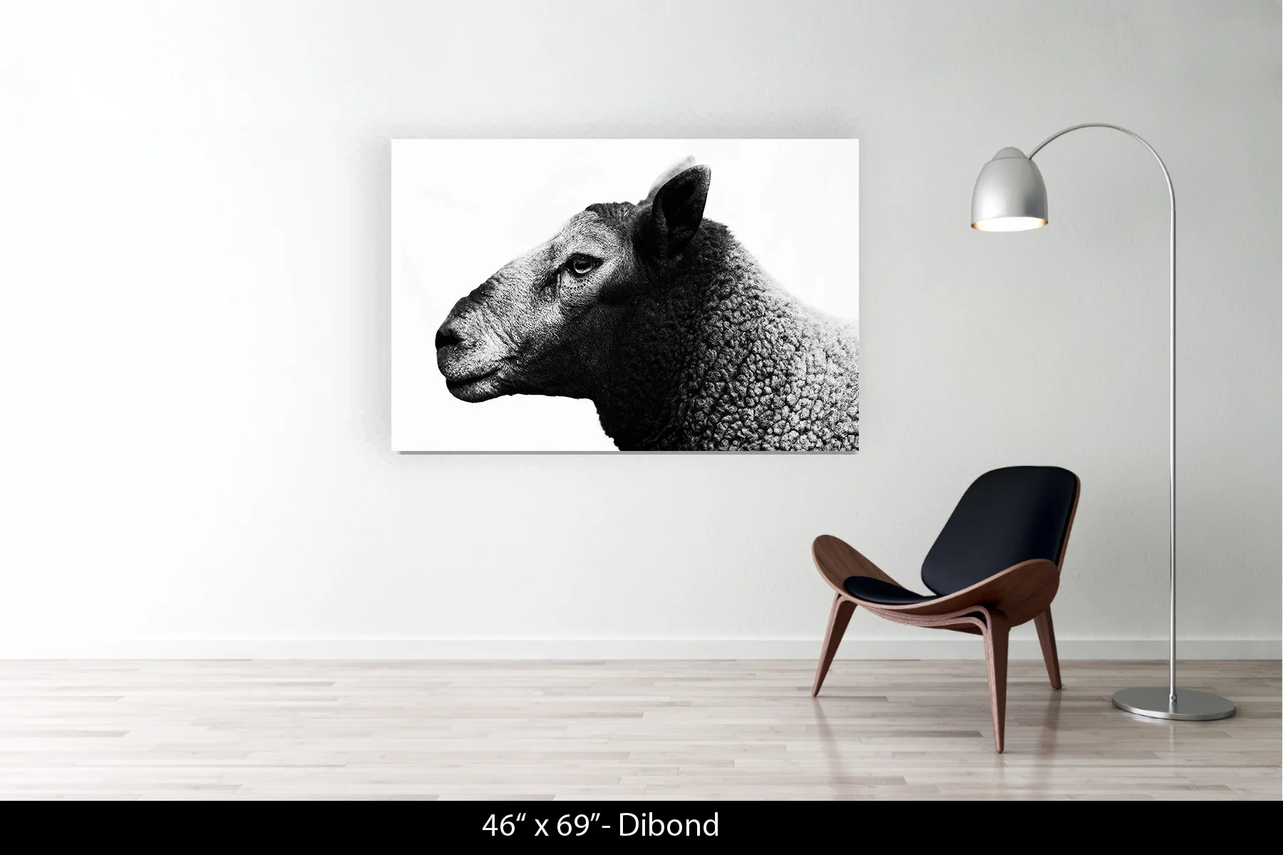 46"x69" | Dibond
