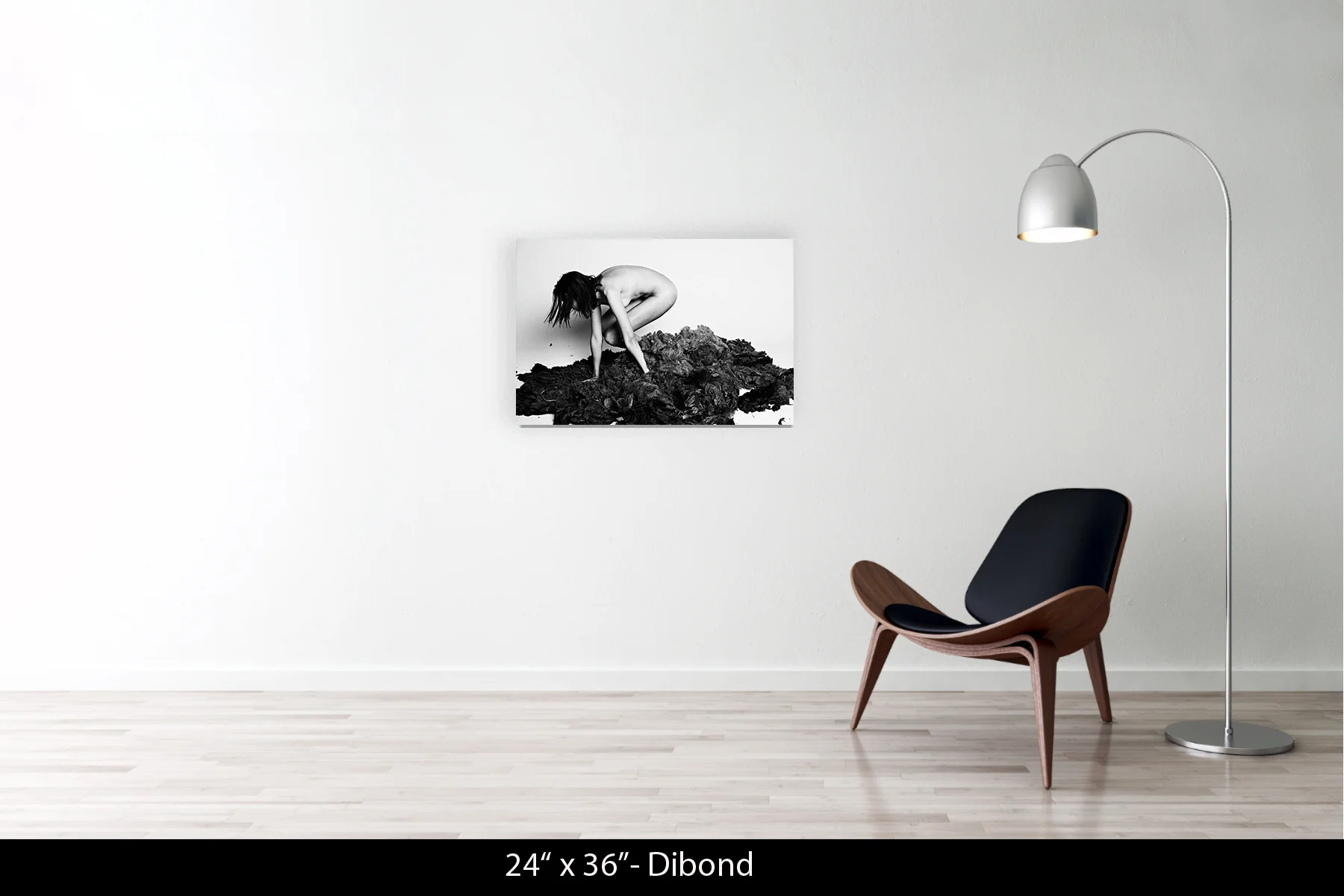 24"x36" | Dibond