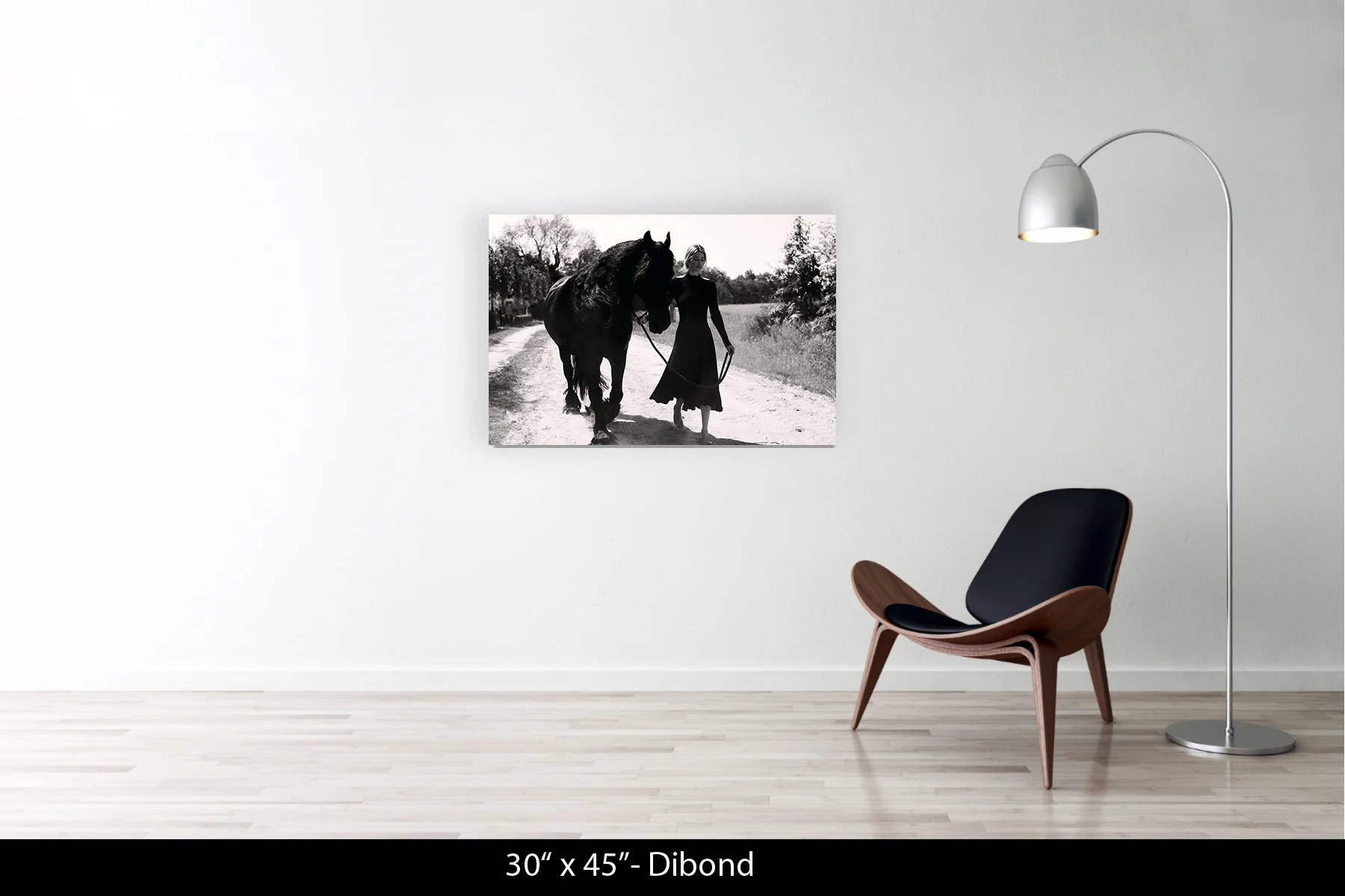 30"x45" | Dibond
