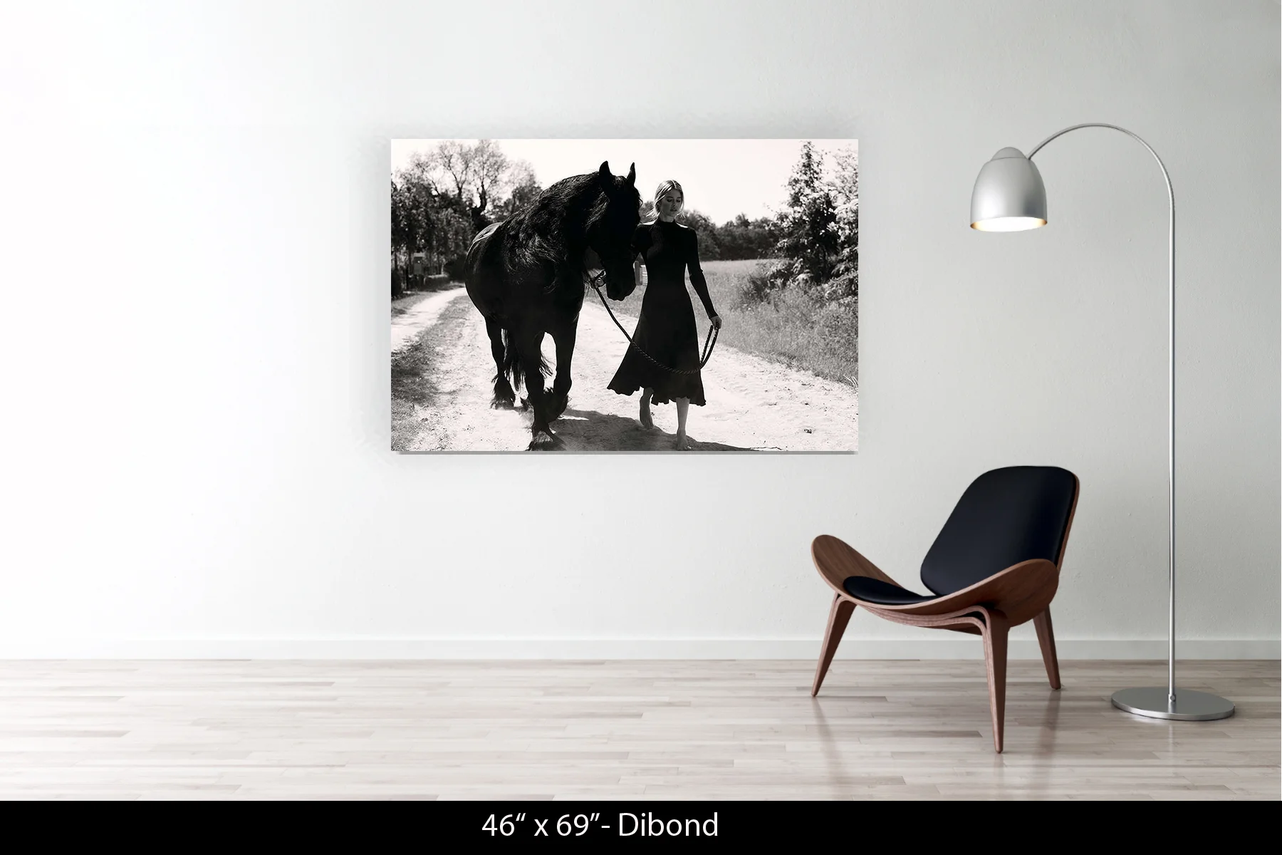 46"x69" | Dibond