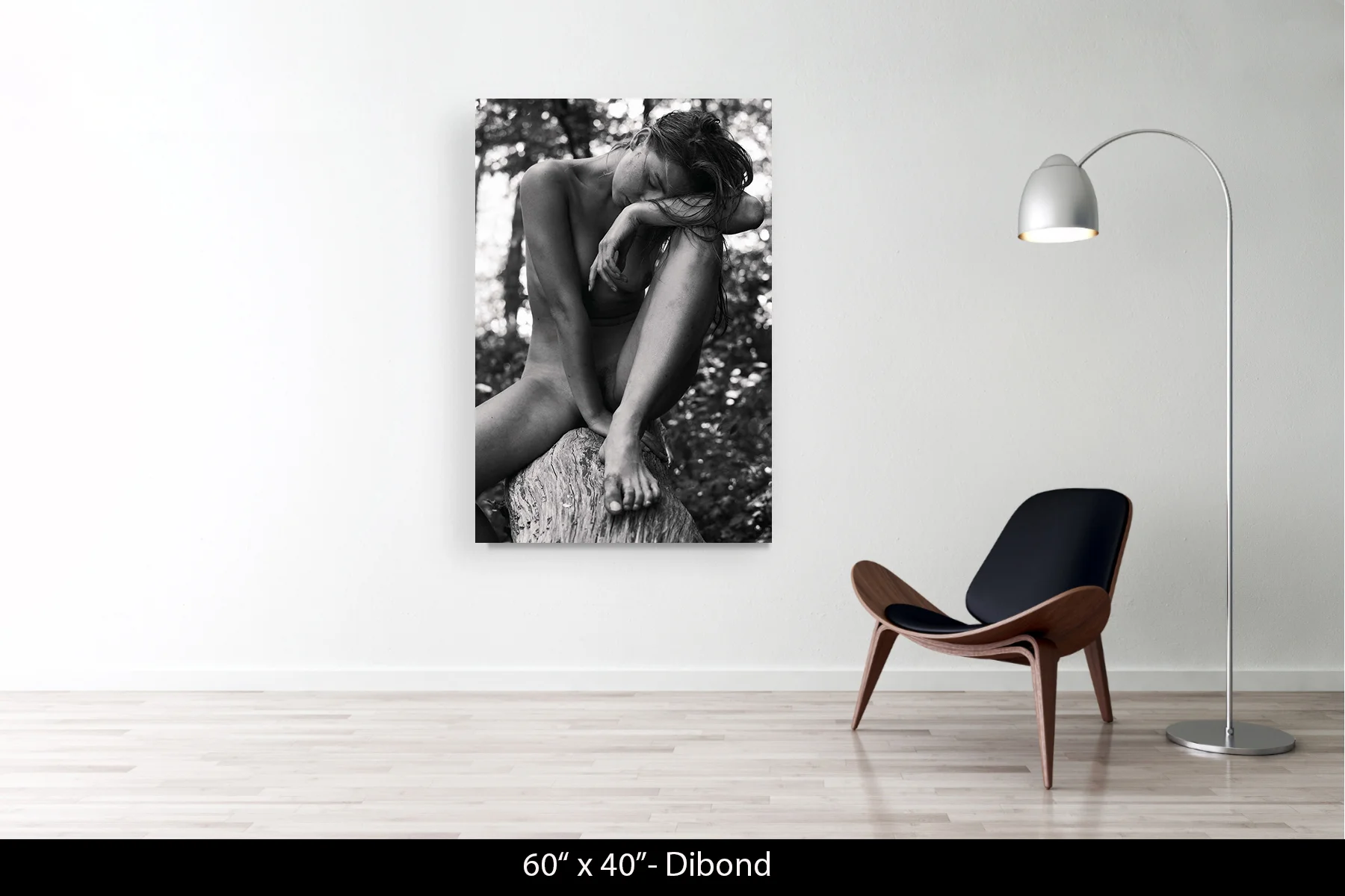 60"x40" | Dibond