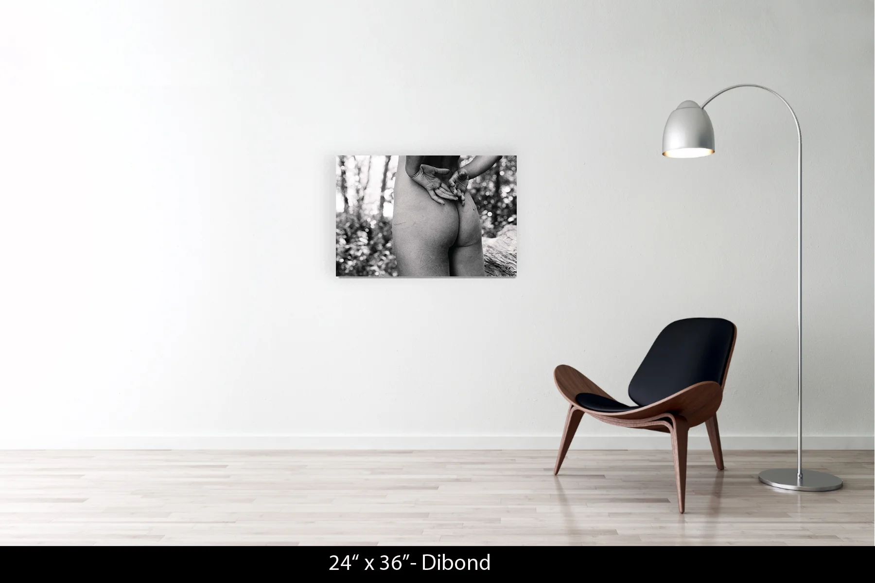 24"x36" | Dibond
