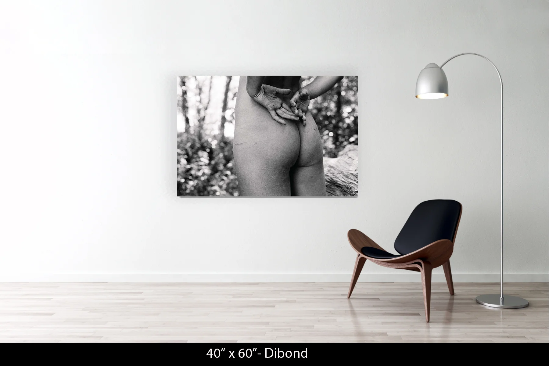 40"x60" | Dibond