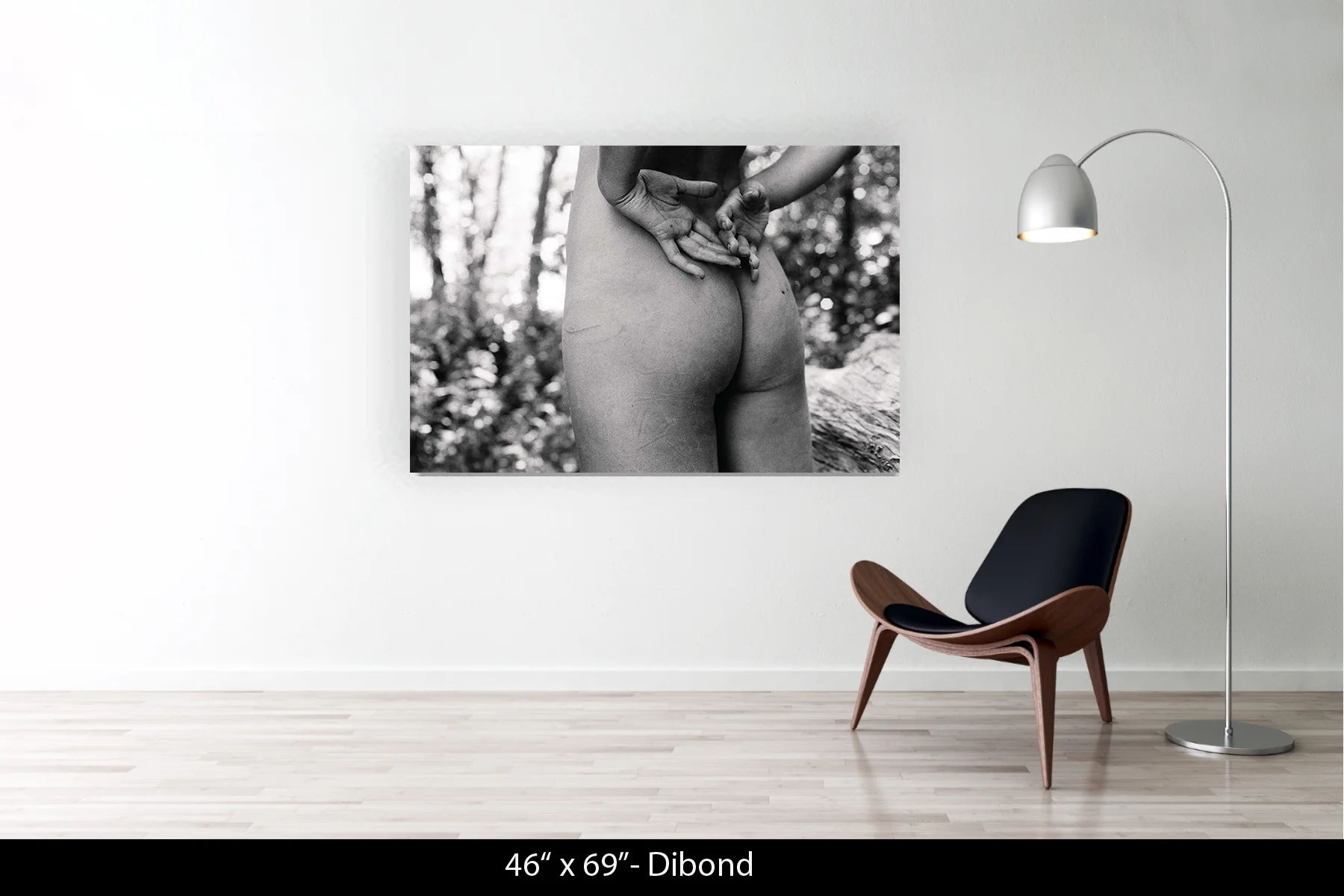 46"x69" | Dibond