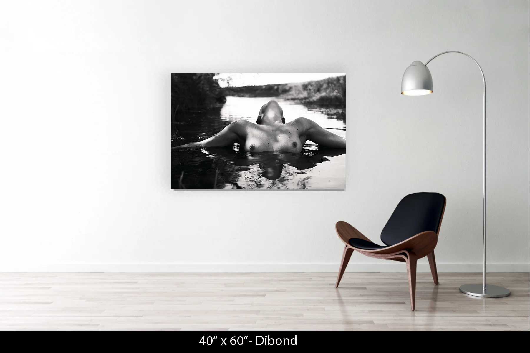 40"x60" | Dibond