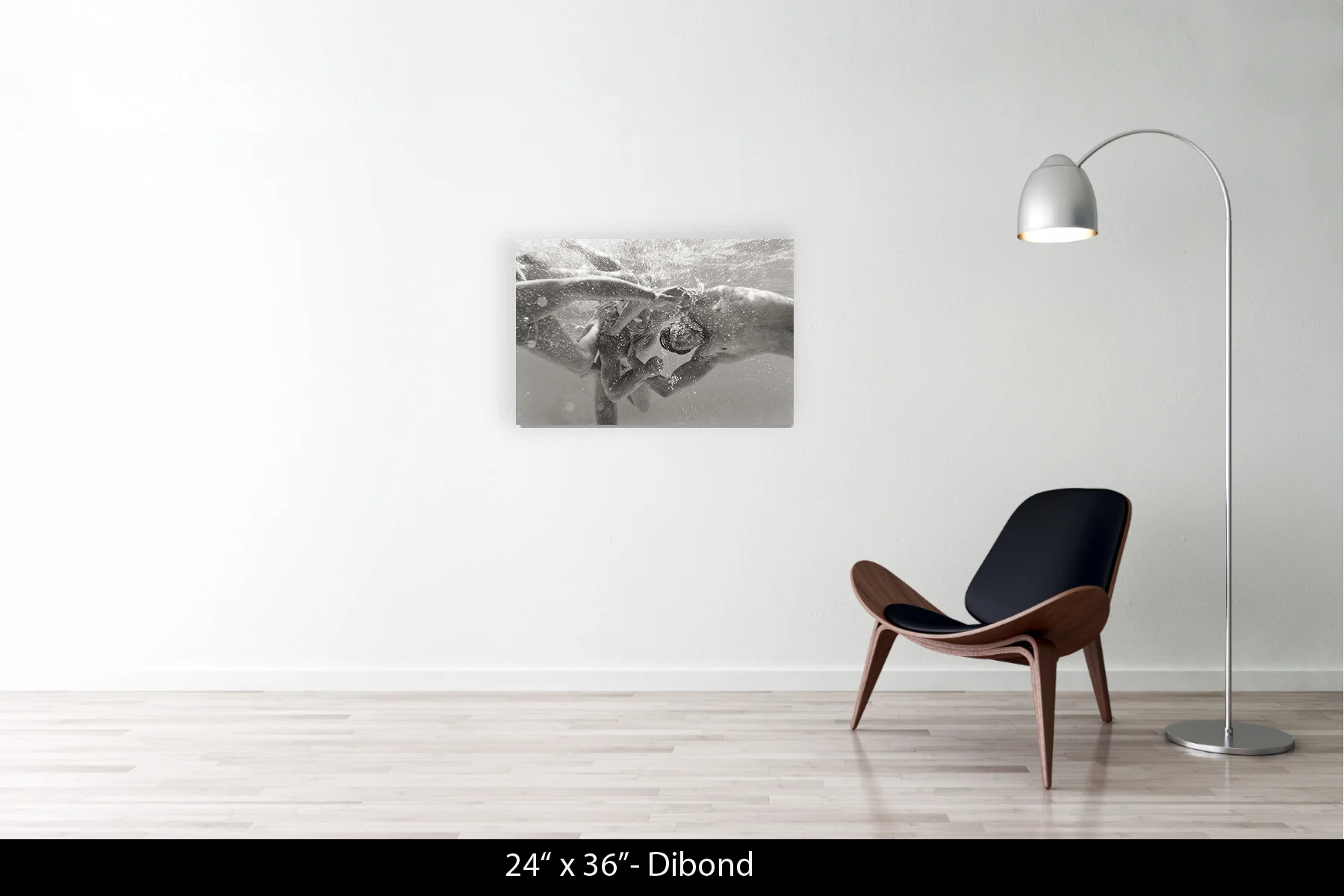 24"x36" | Dibond