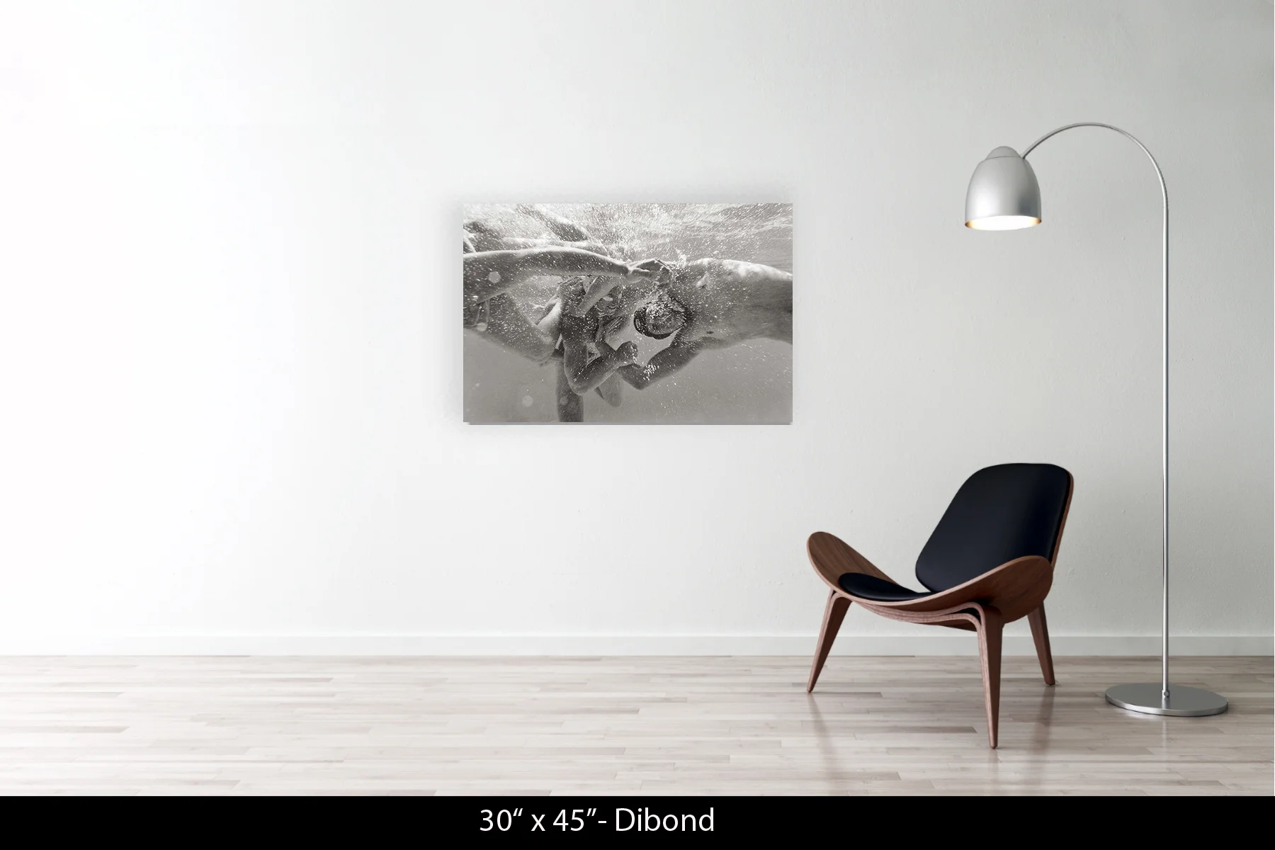 30"x45" | Dibond