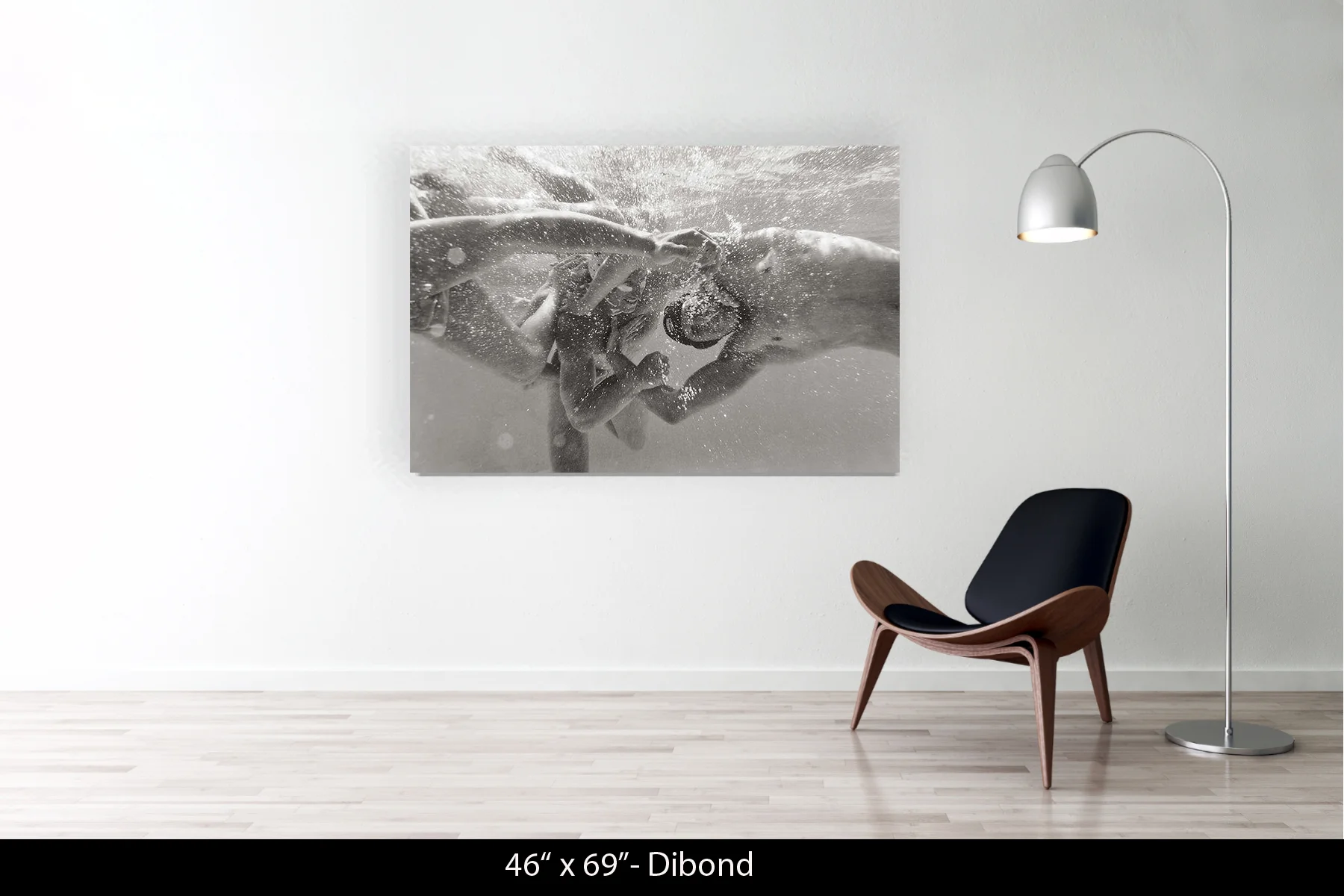 46"x69" | Dibond