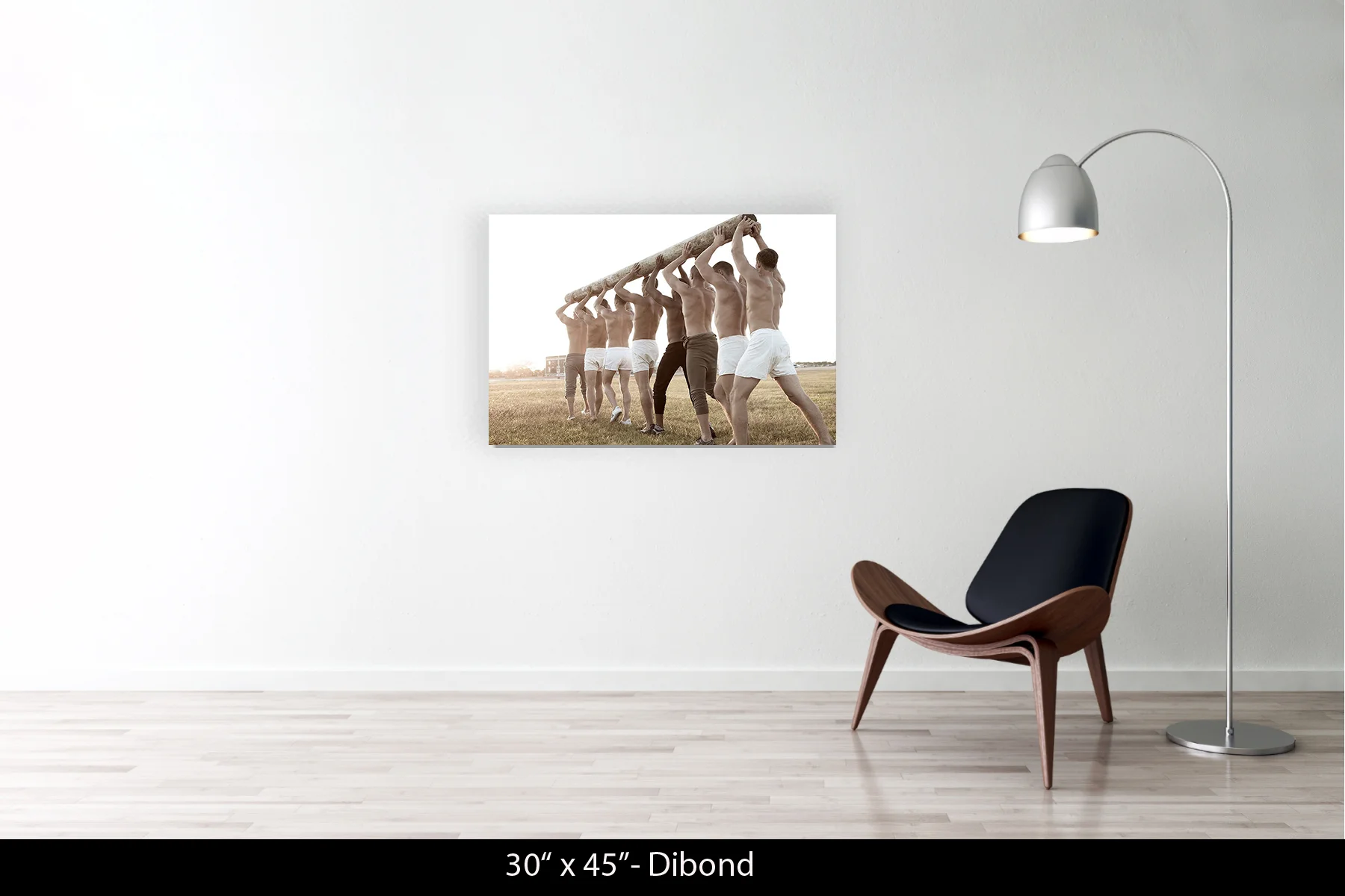 30"x45" | Dibond