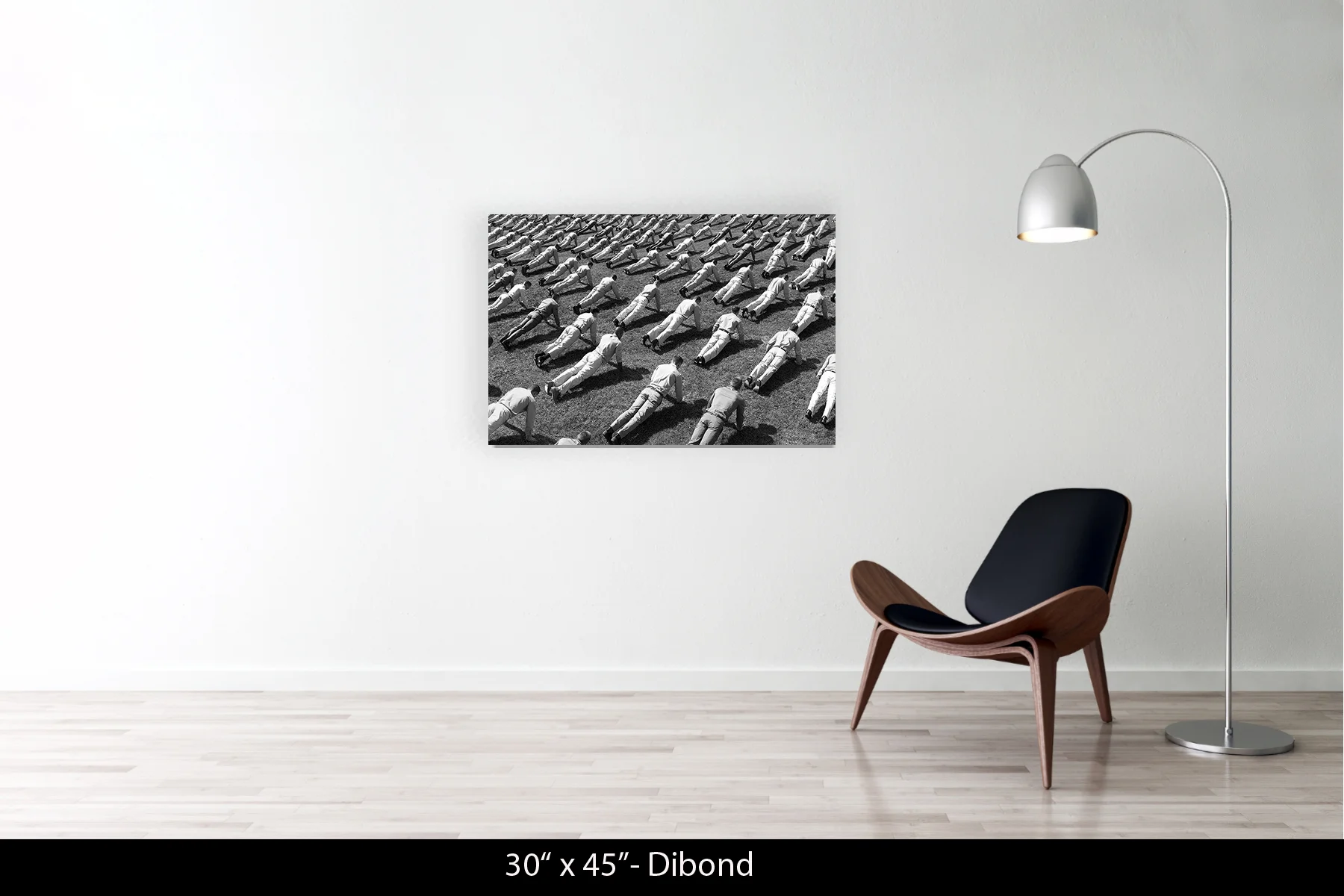 30"x45" | Dibond