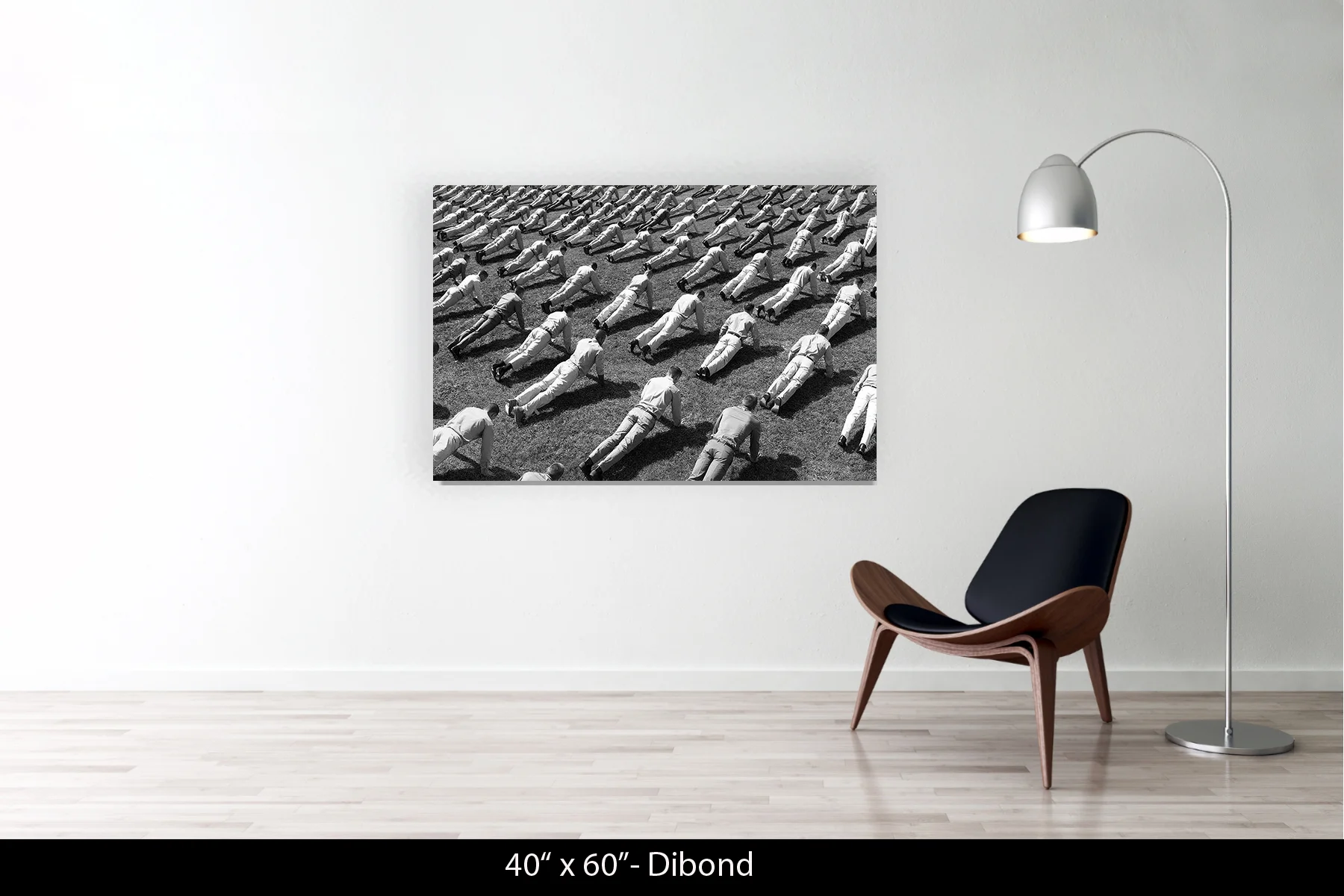 40"x60" | Dibond
