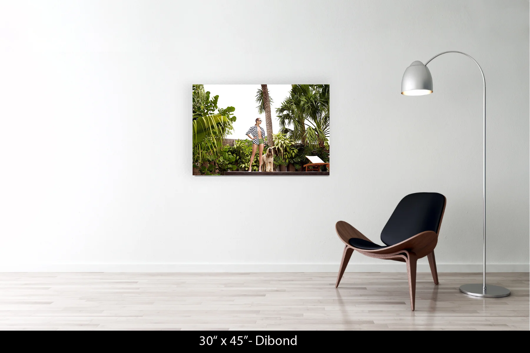 30"x45" | Dibond