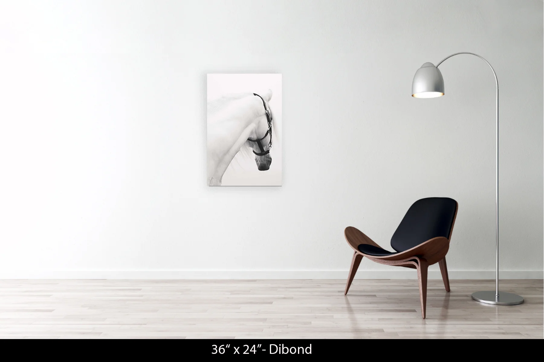 36"x24" | Dibond