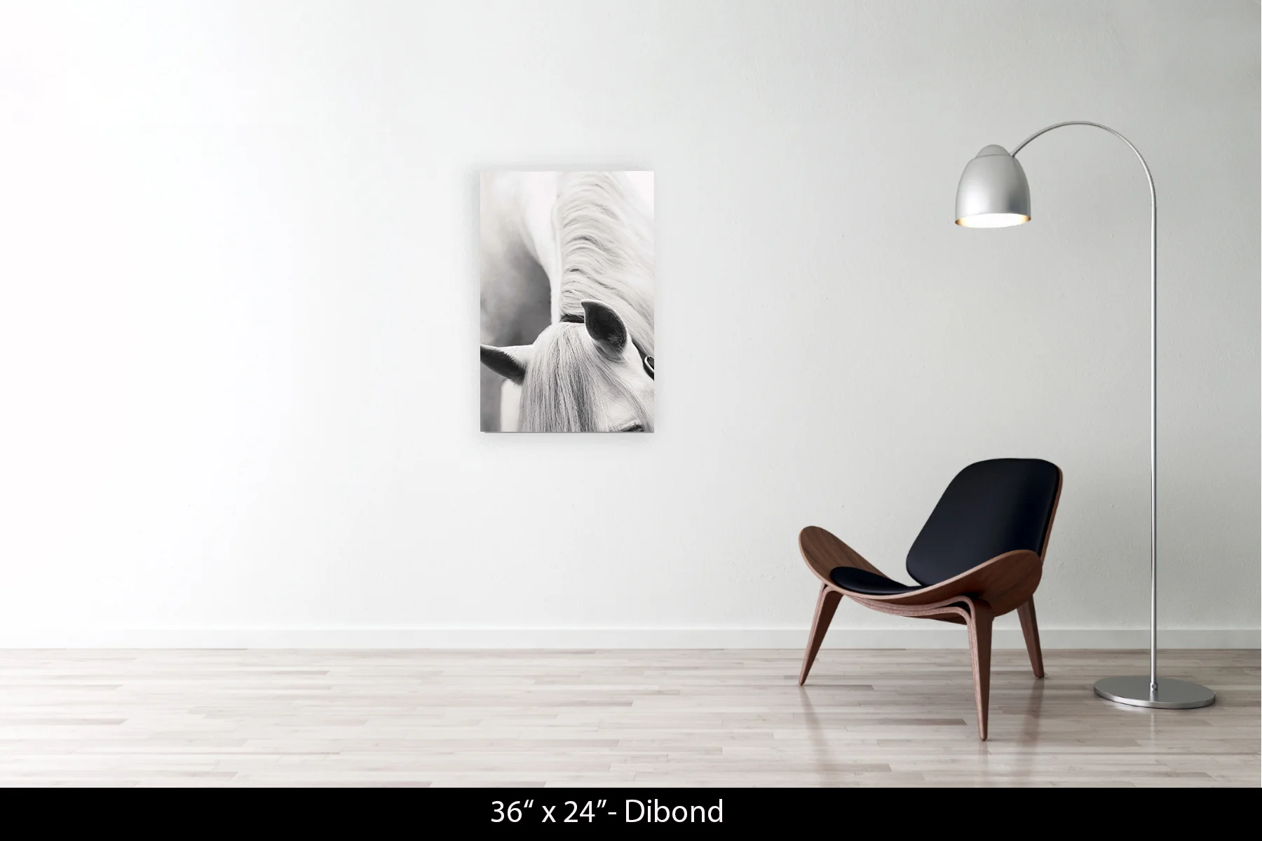 36"x24" | Dibond