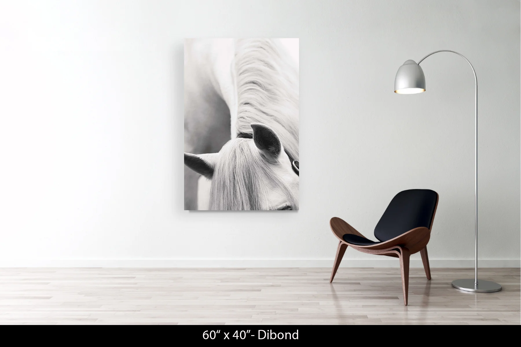 60"x40" | Dibond