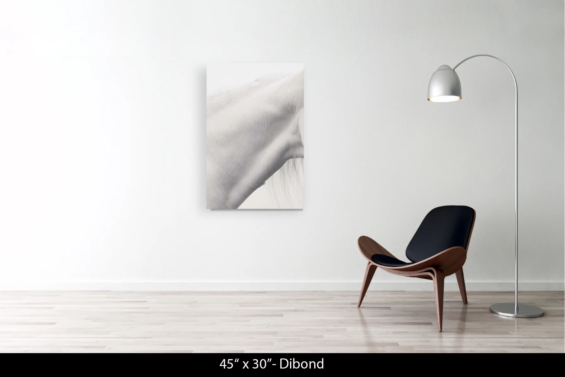 45"x30" | Dibond