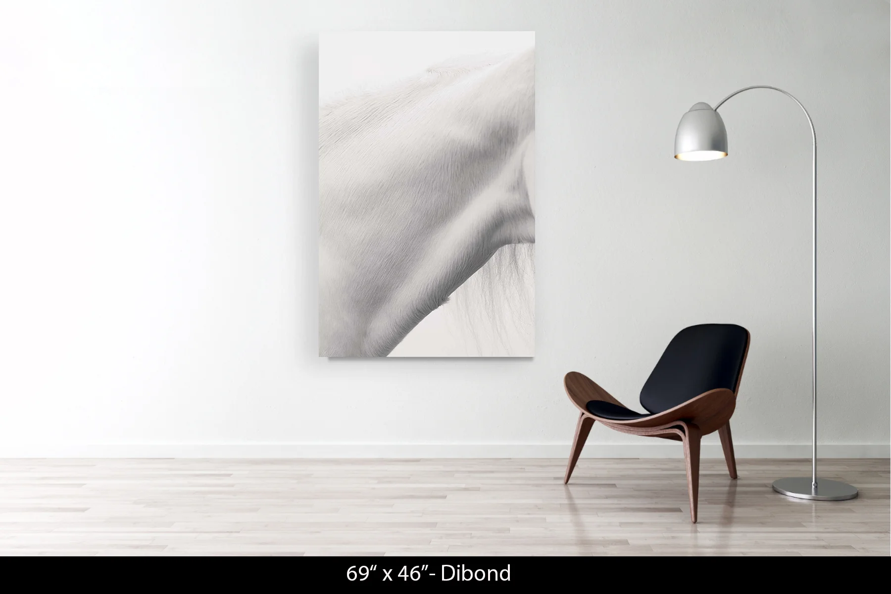 69"x46" | Dibond