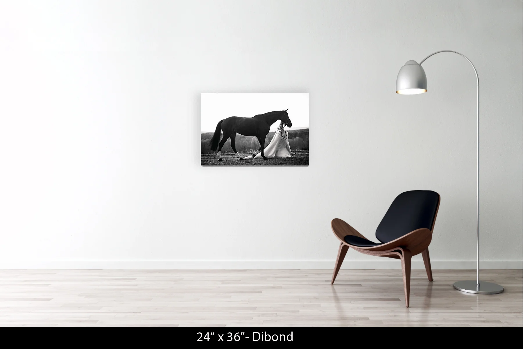 24"x36" | Dibond