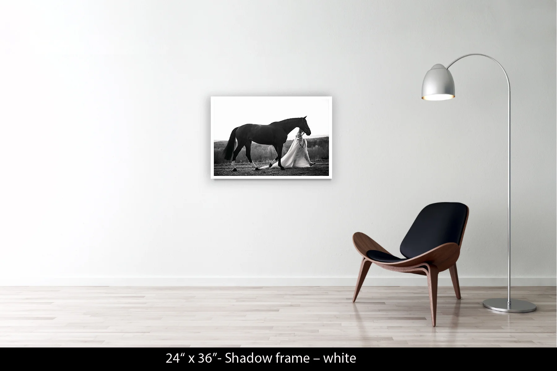 24"x36" | Shadow Frame White