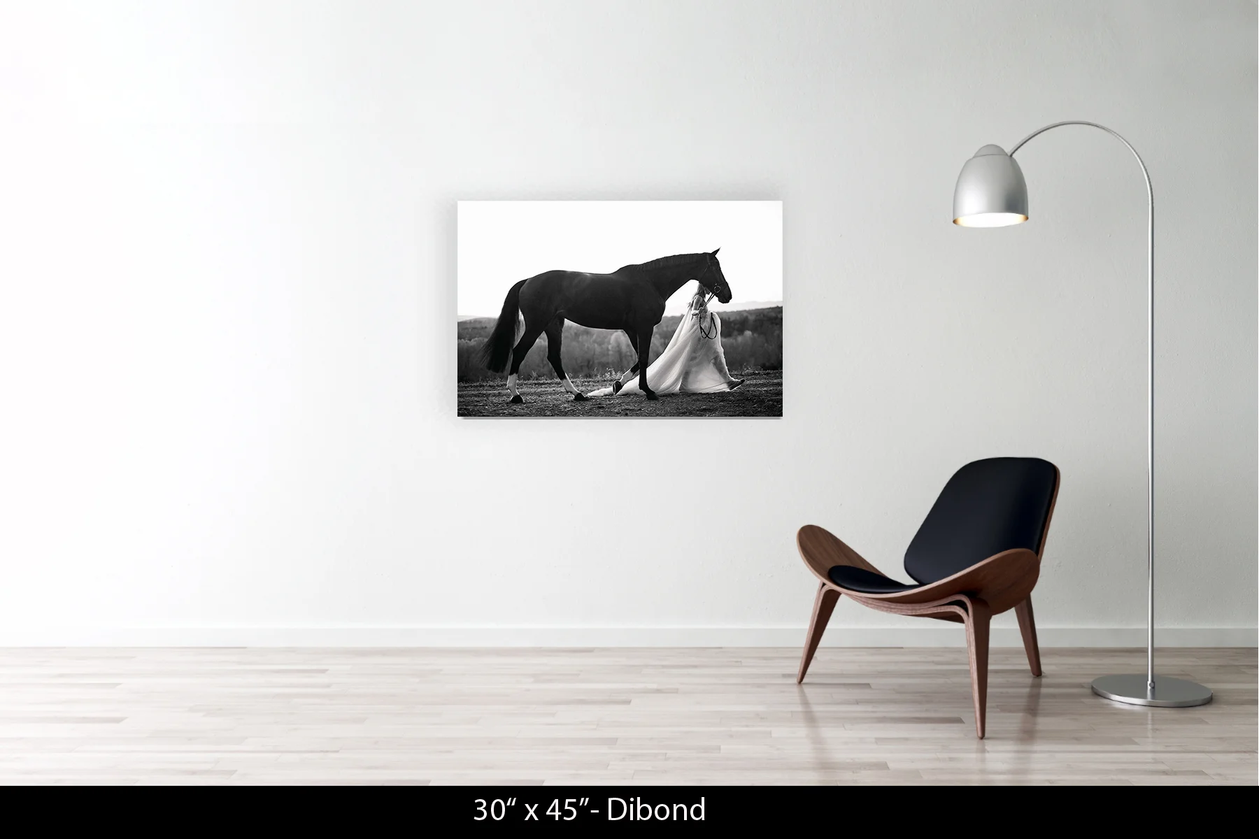 30"x45" | Dibond