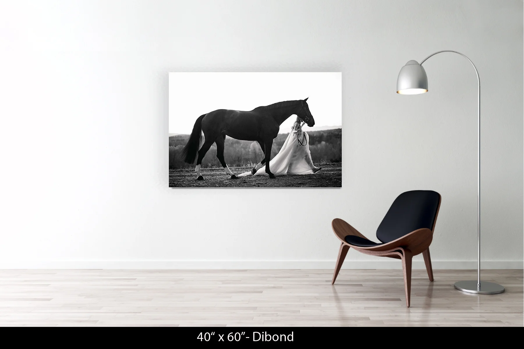 40"x60" | Dibond