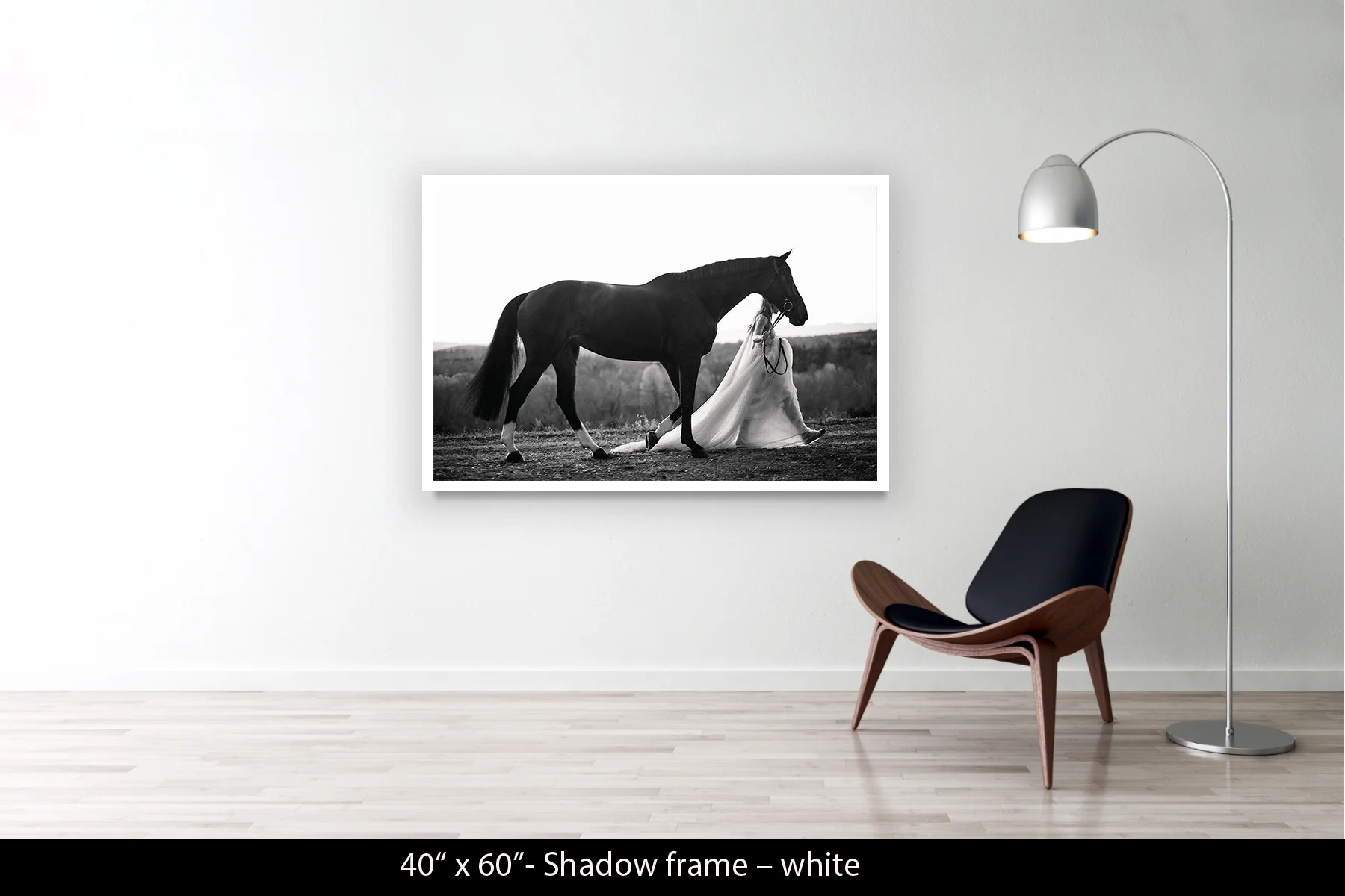 40"x60" | Shadow Frame White