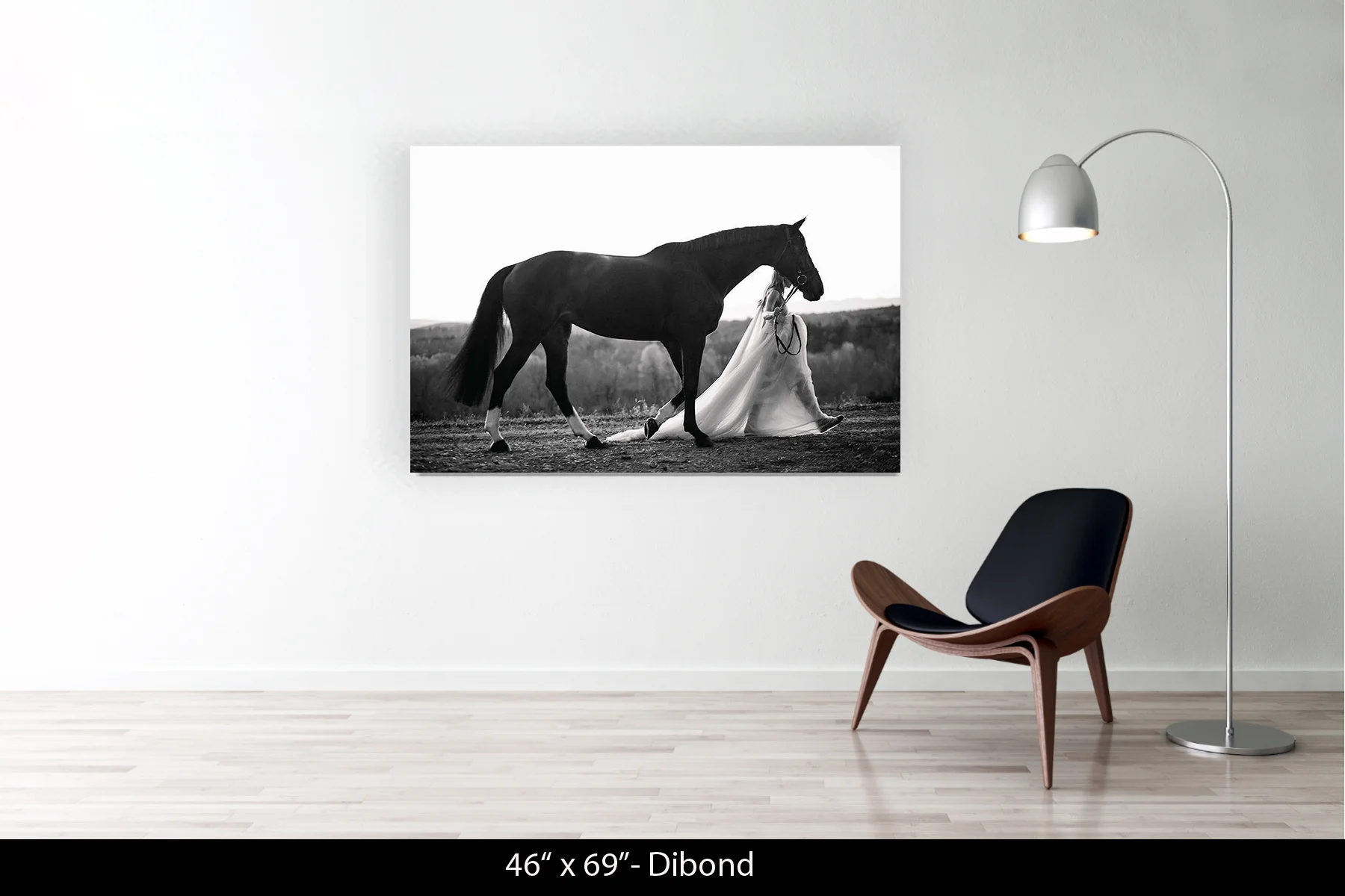 46"x69" | Dibond