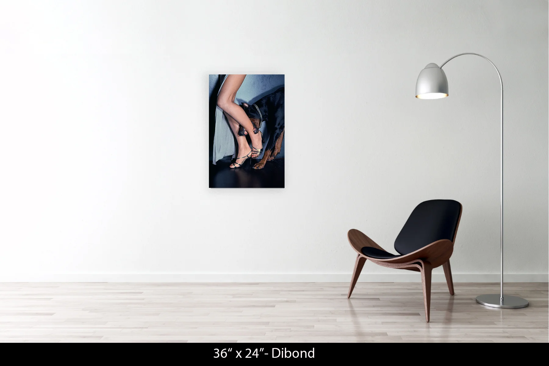 36"x24" | Dibond