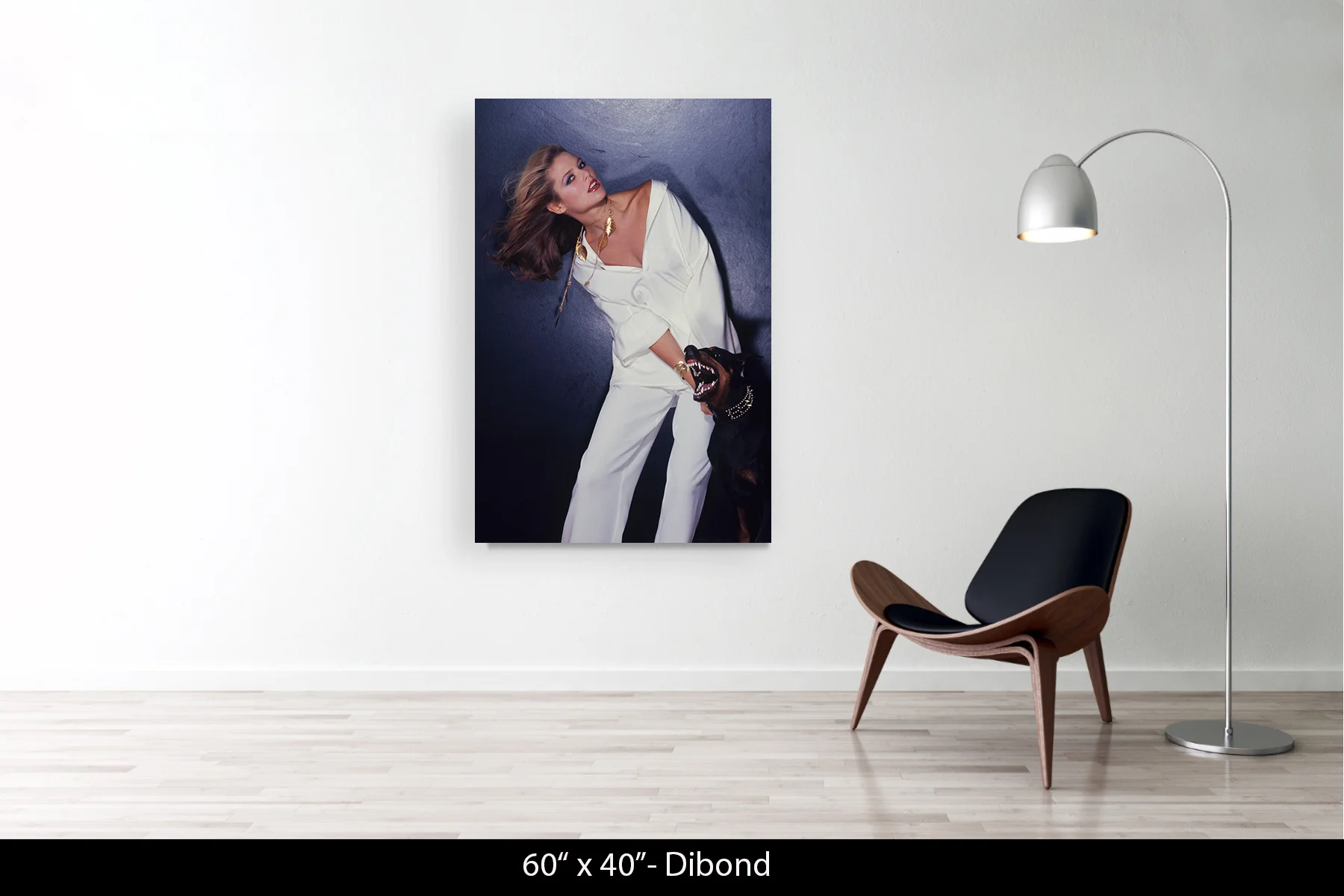 60"x40" | Dibond