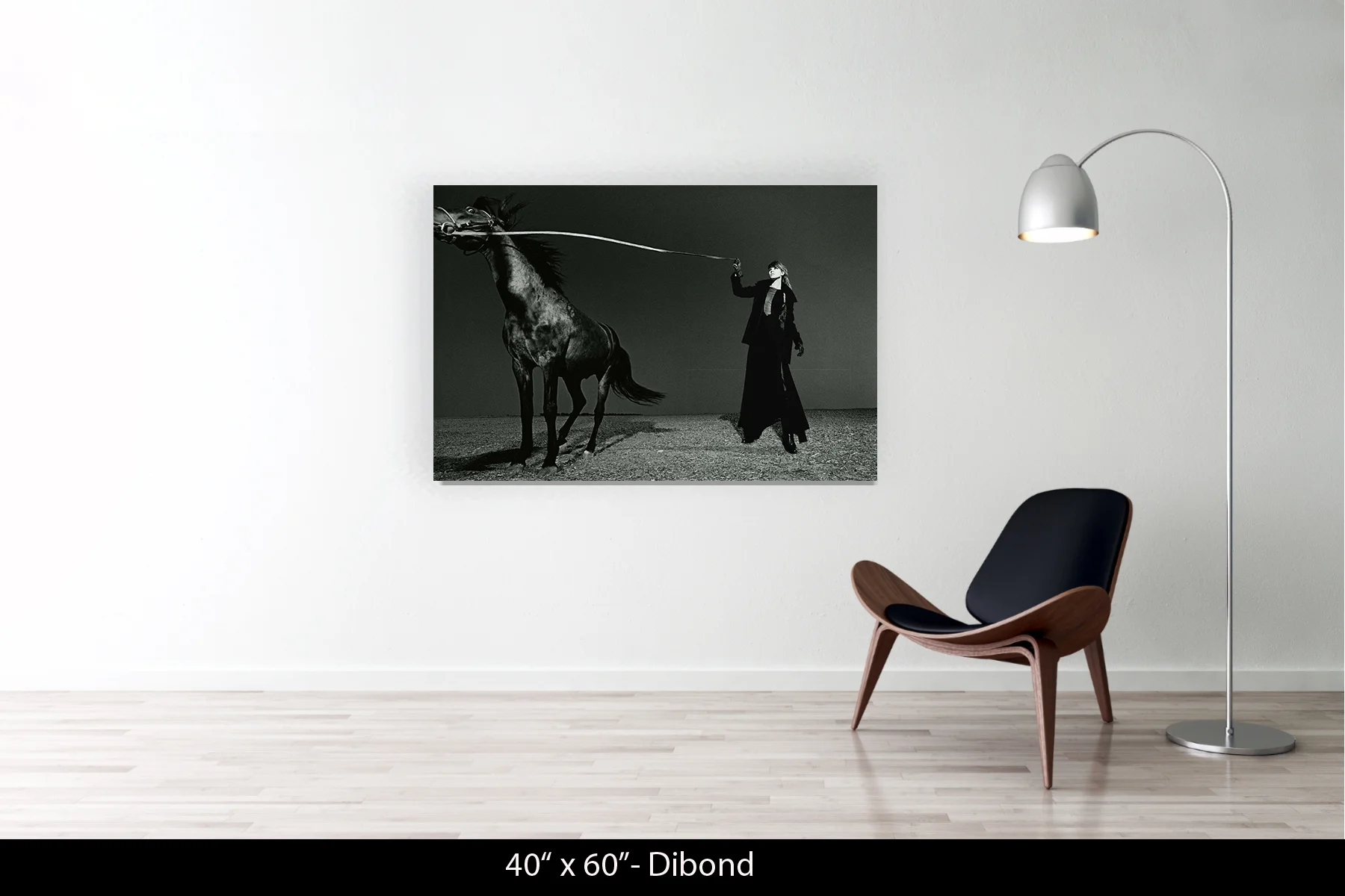 40"x60" | Dibond