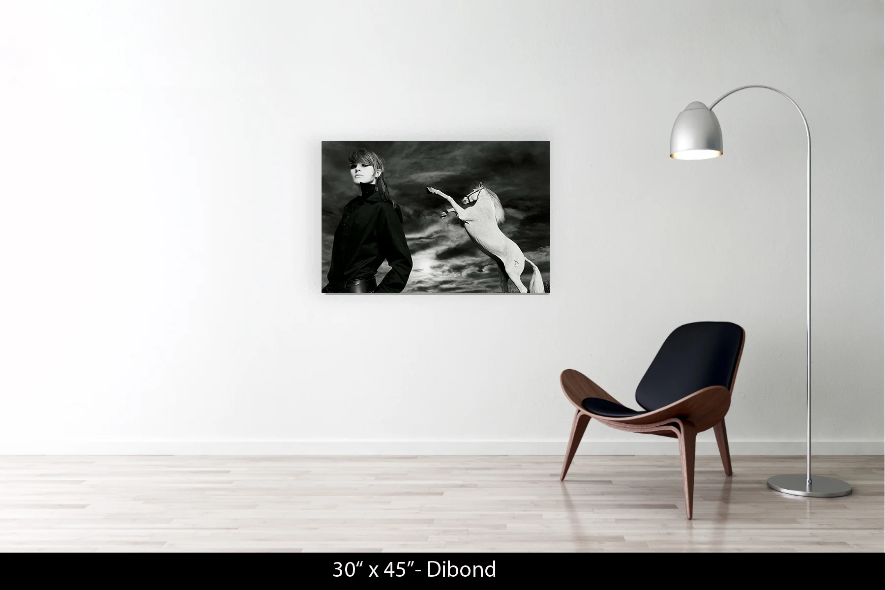 30"x45" | Dibond