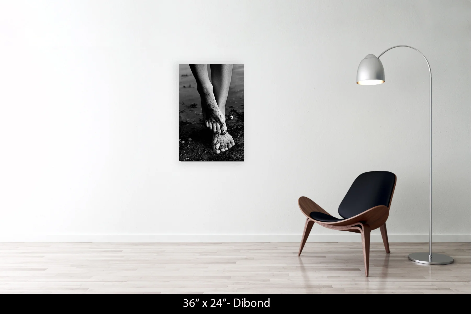 36"x24" | Dibond