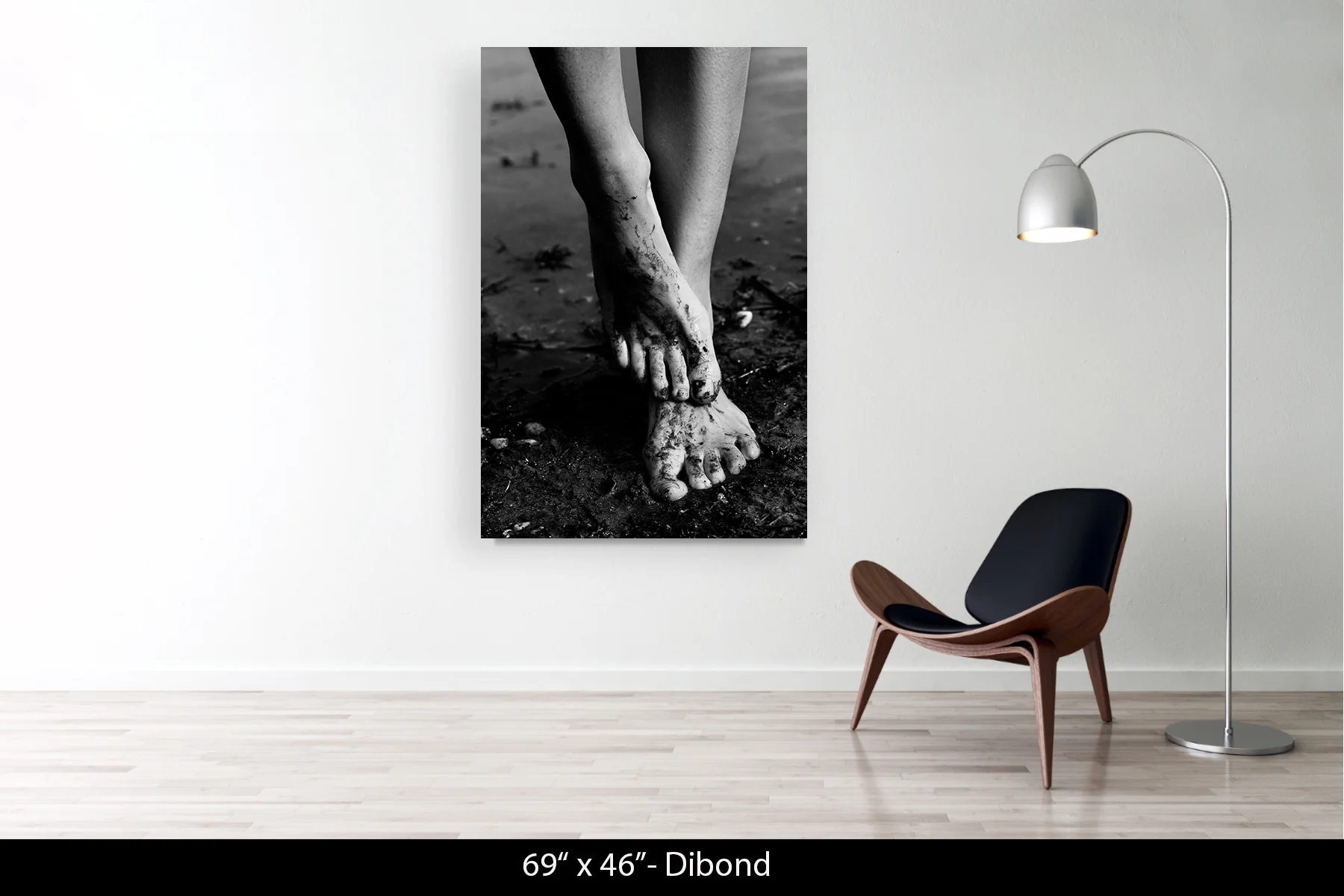 69"x46" | Dibond