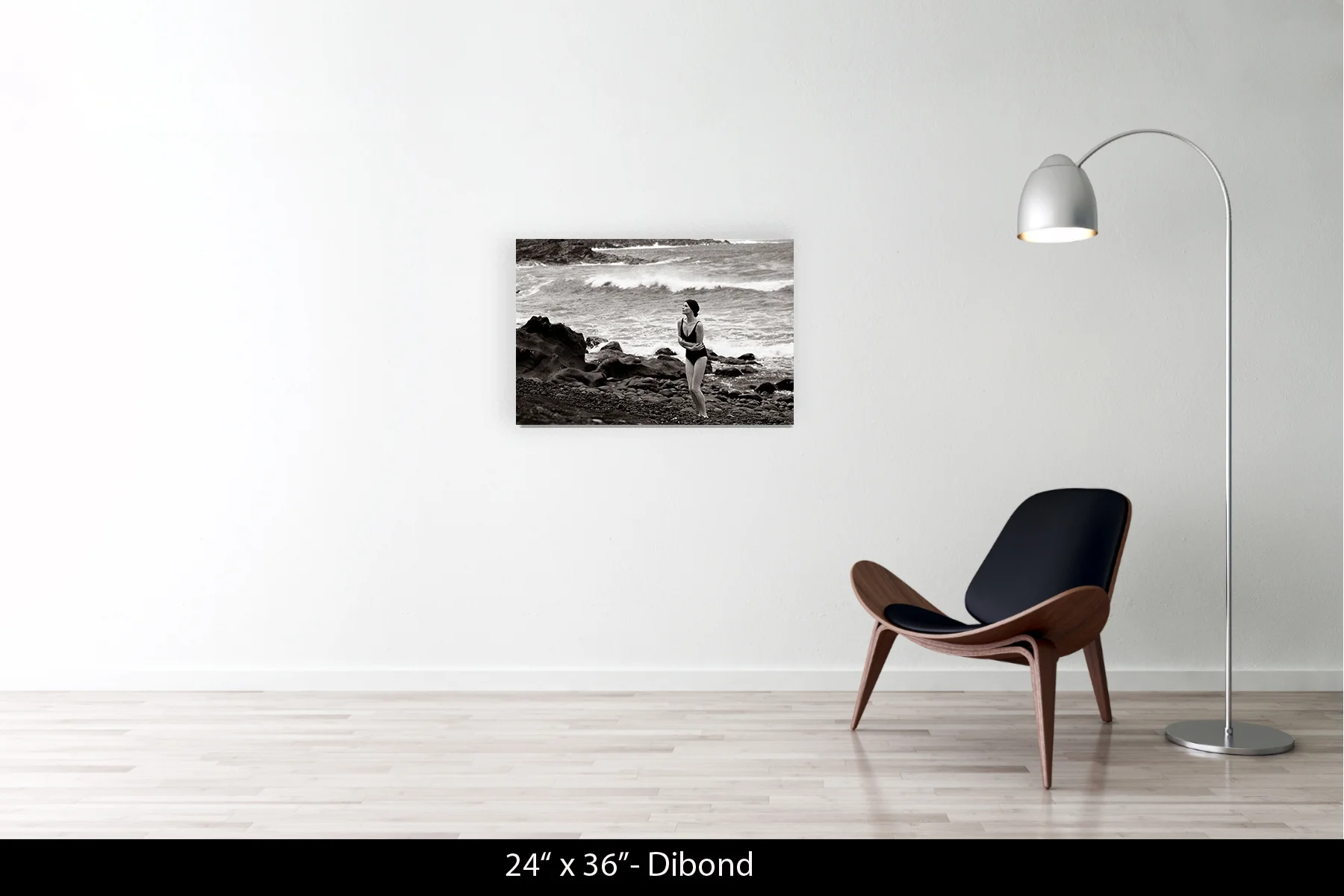 24"x36" | Dibond