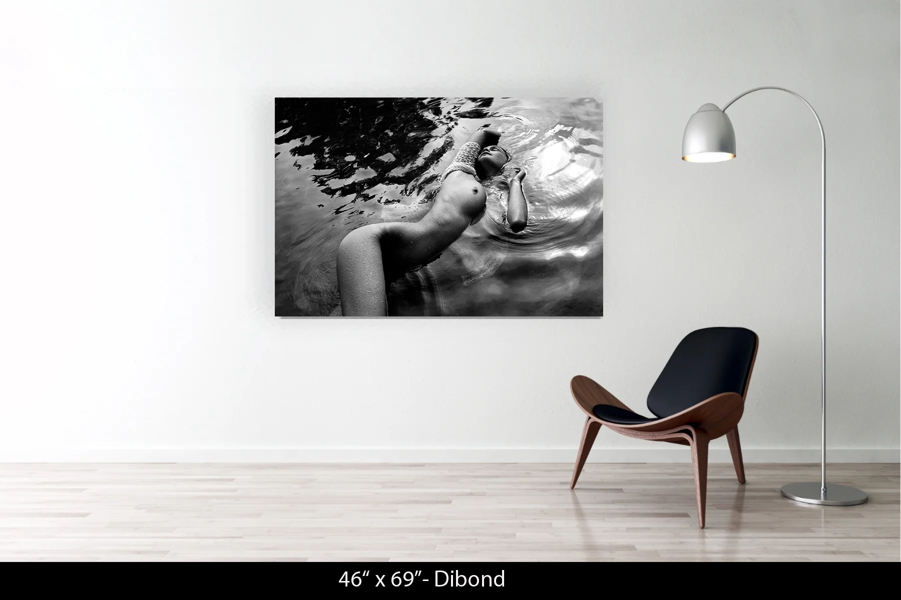 46"x69" | Dibond