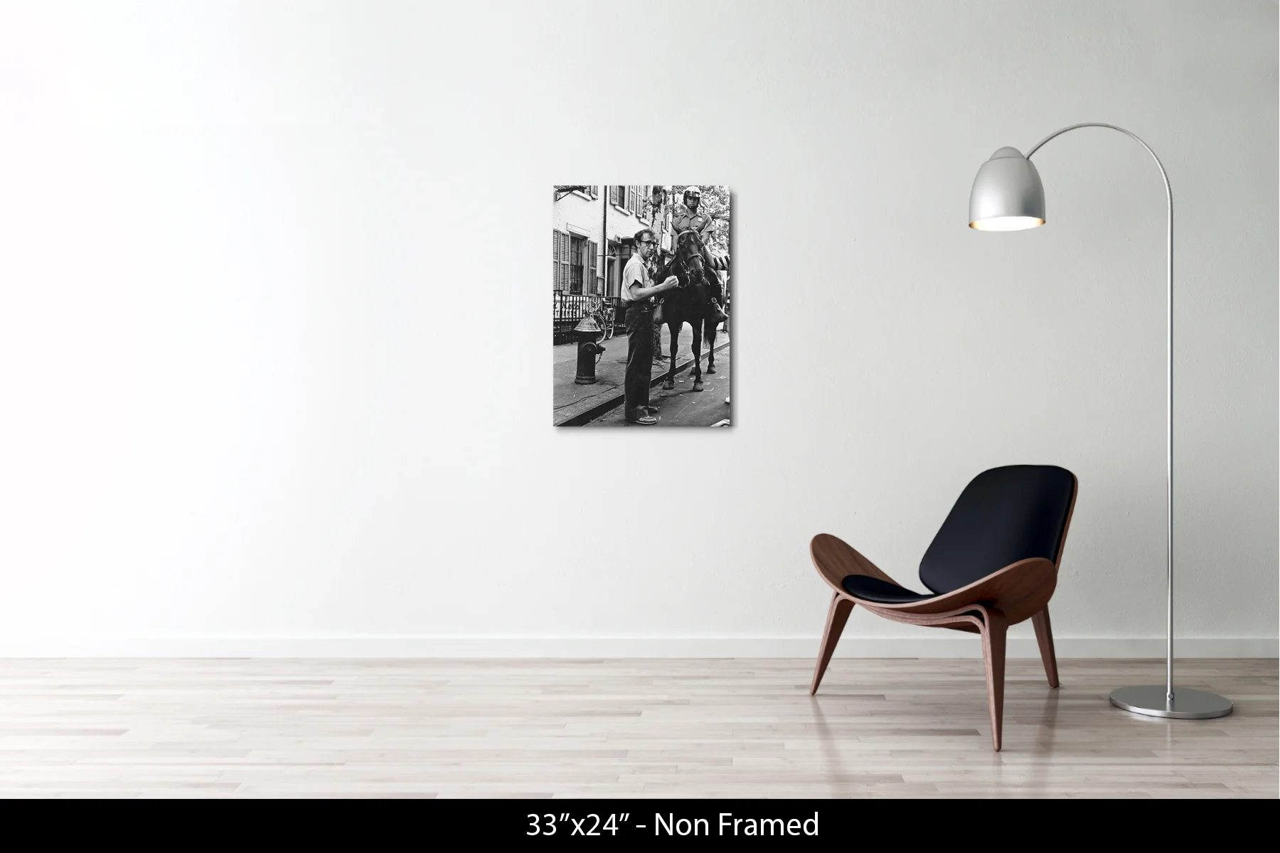 33"x24" | No Frame