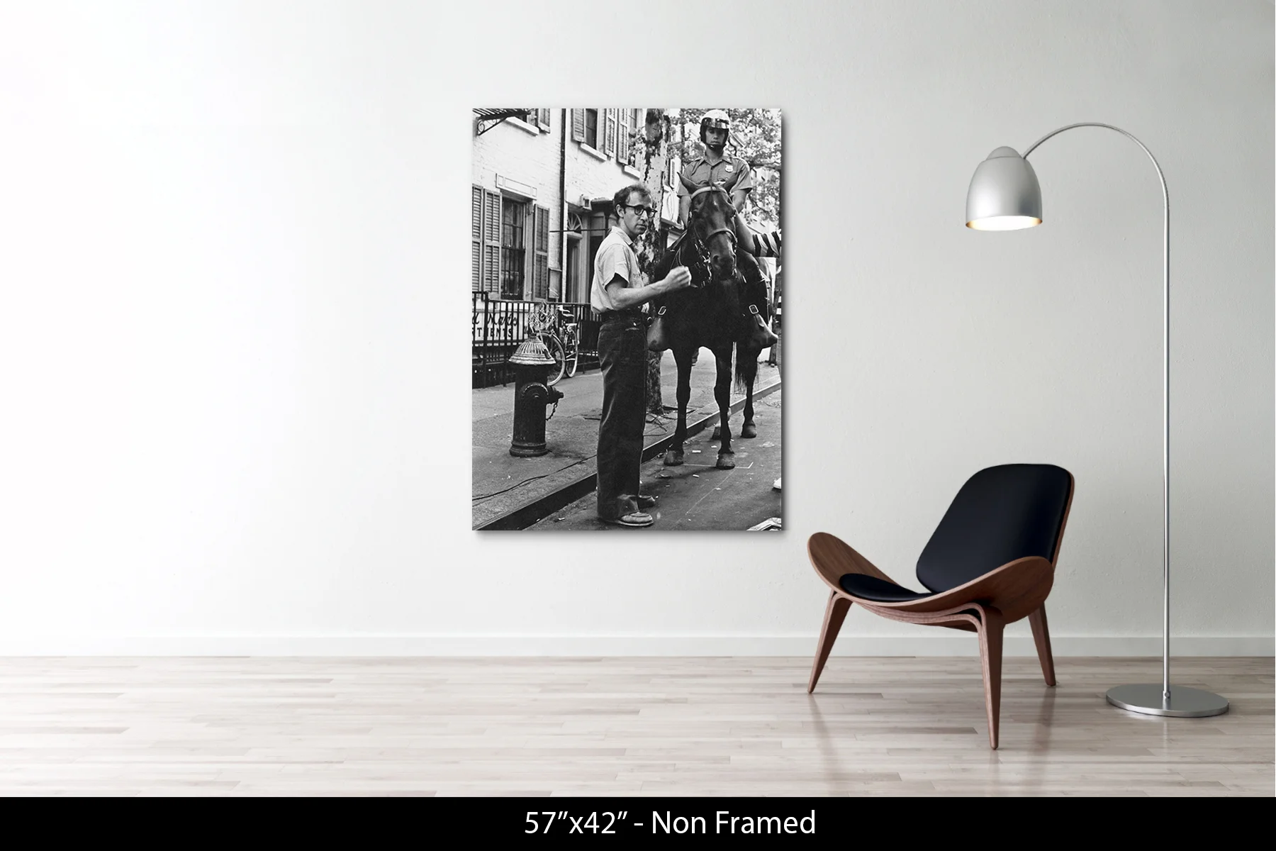 57"x42" | No Frame